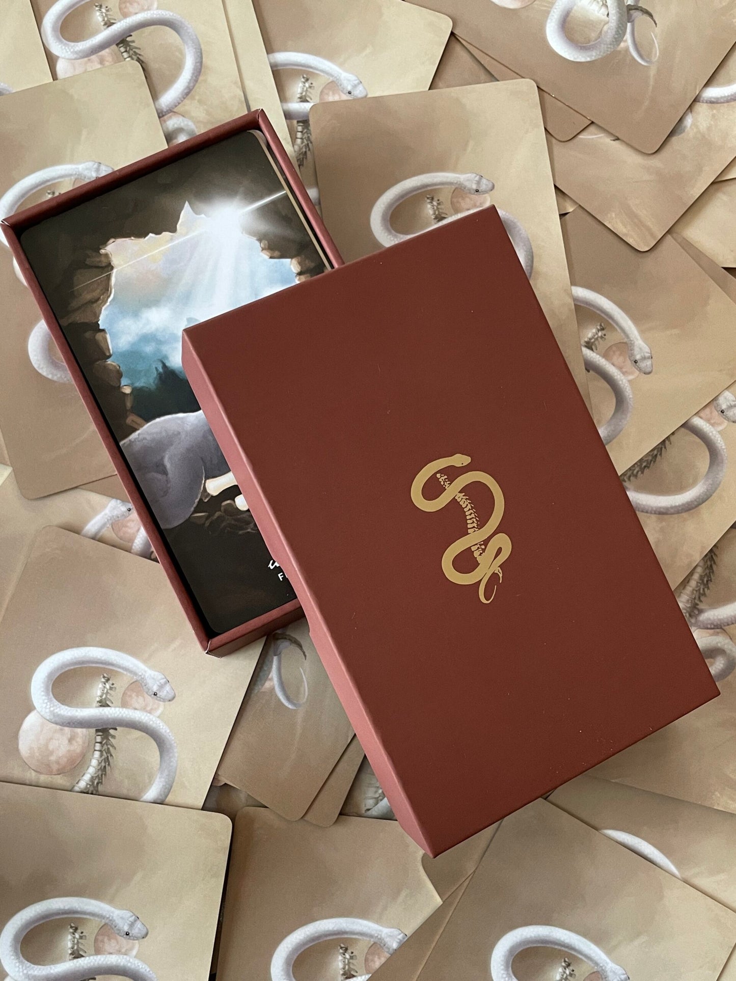 Bone Codes Oracle + Guidebook by Ash Stinson
