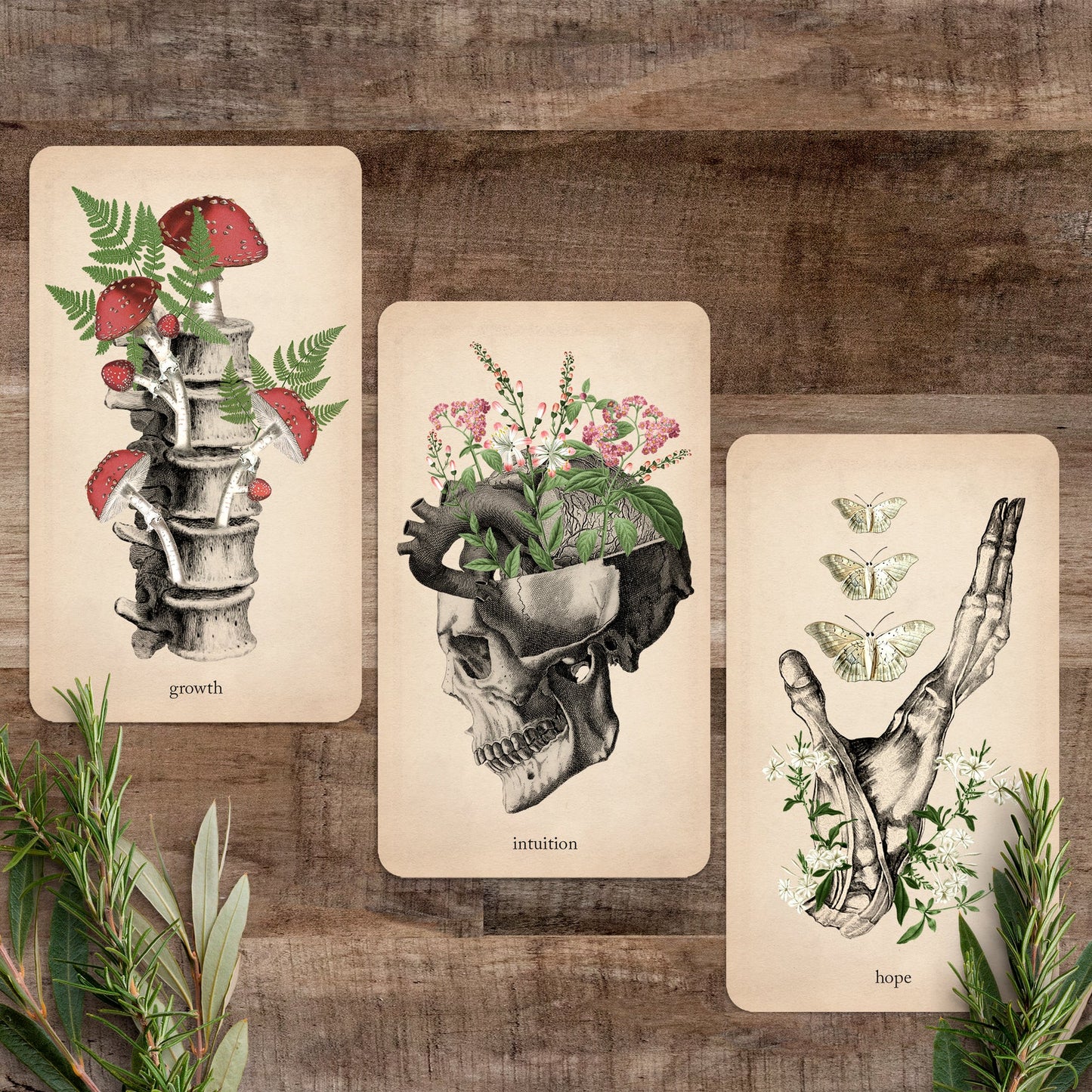 Oracle of Oddities by Black and the Moon