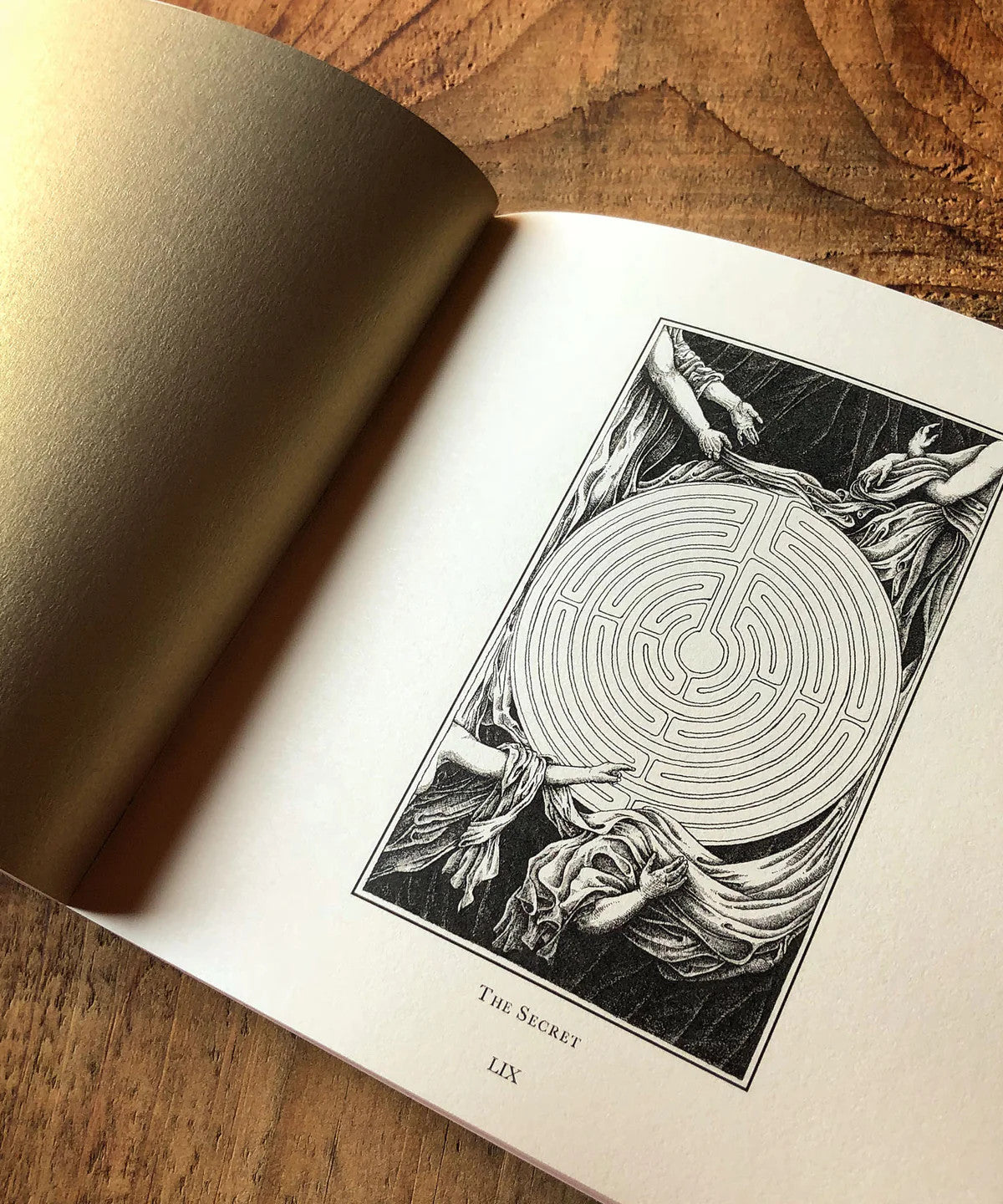 SUPRA: THE HIDDEN PATH OF AN ORACLE Uusi