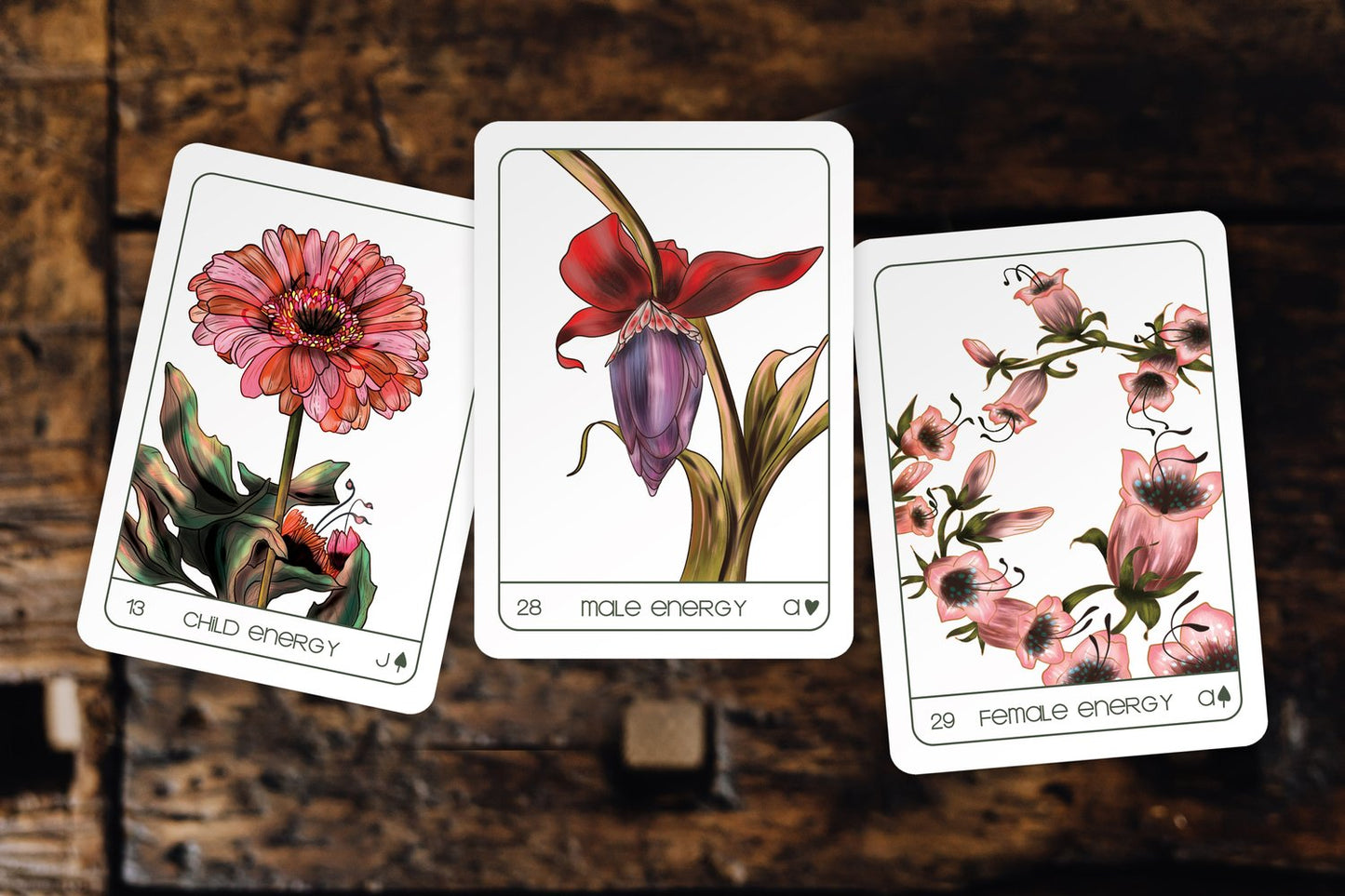 TERRA LENORMAND BOUCHETTEDESIGN