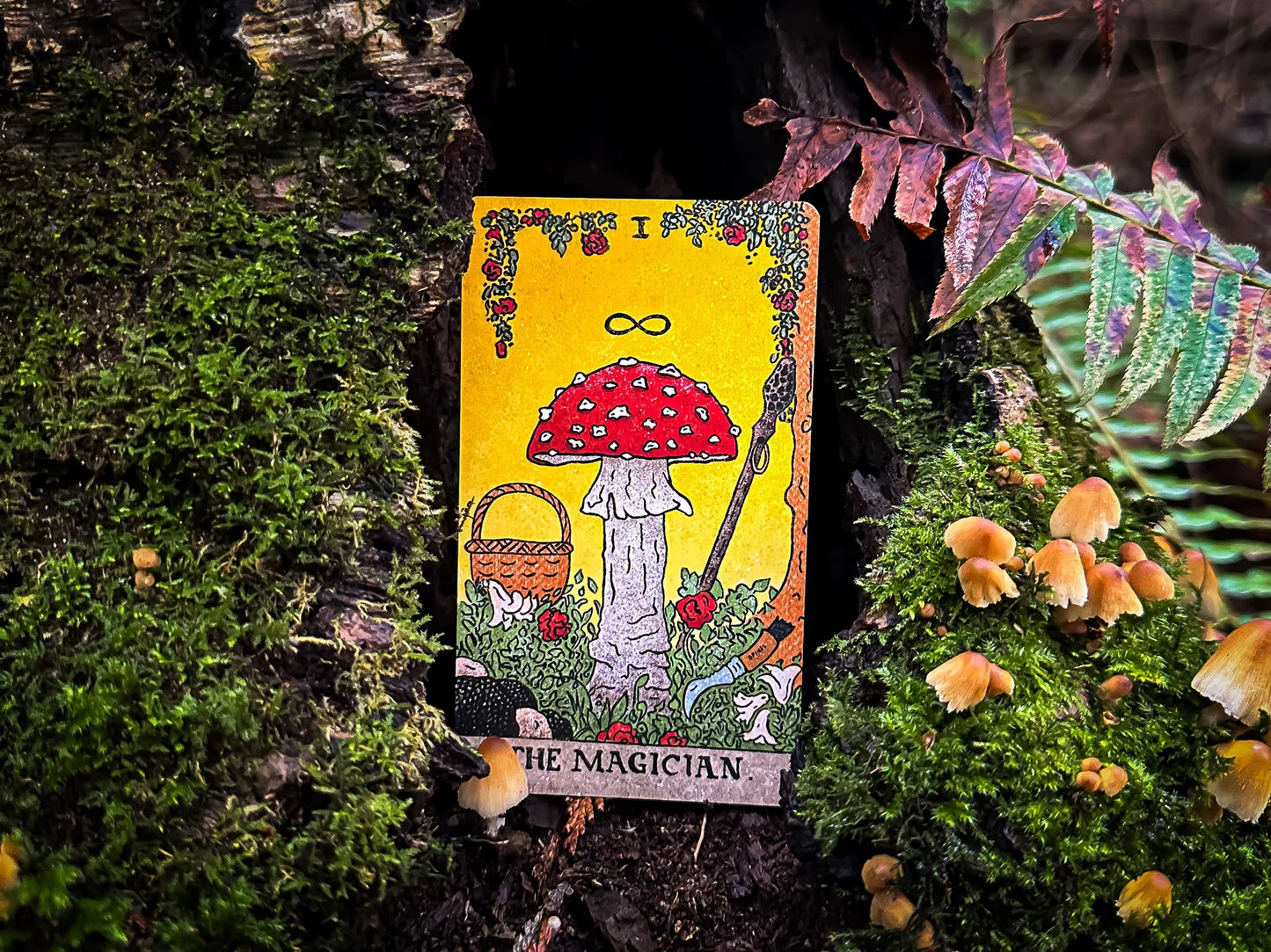 THE MUSHROOM HUNTER'S ARCANUM