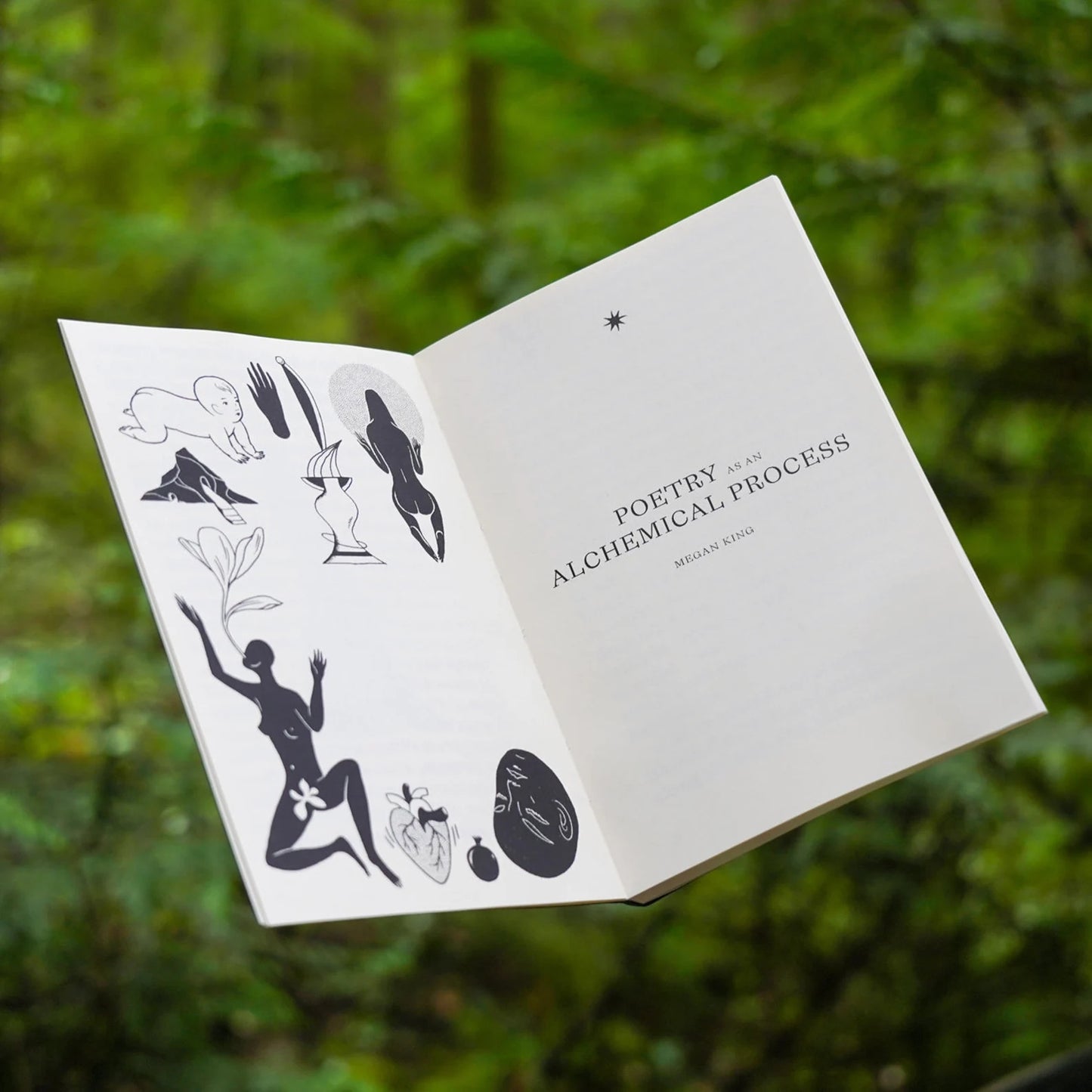 VISIONS IN VERSE Poesis Oracle