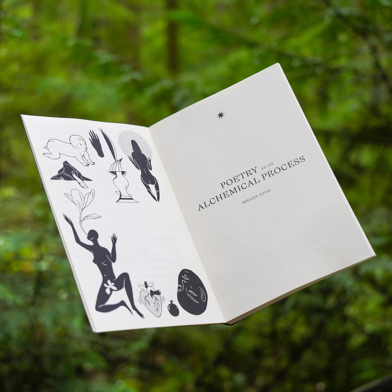 VISIONS IN VERSE Poesis Oracle