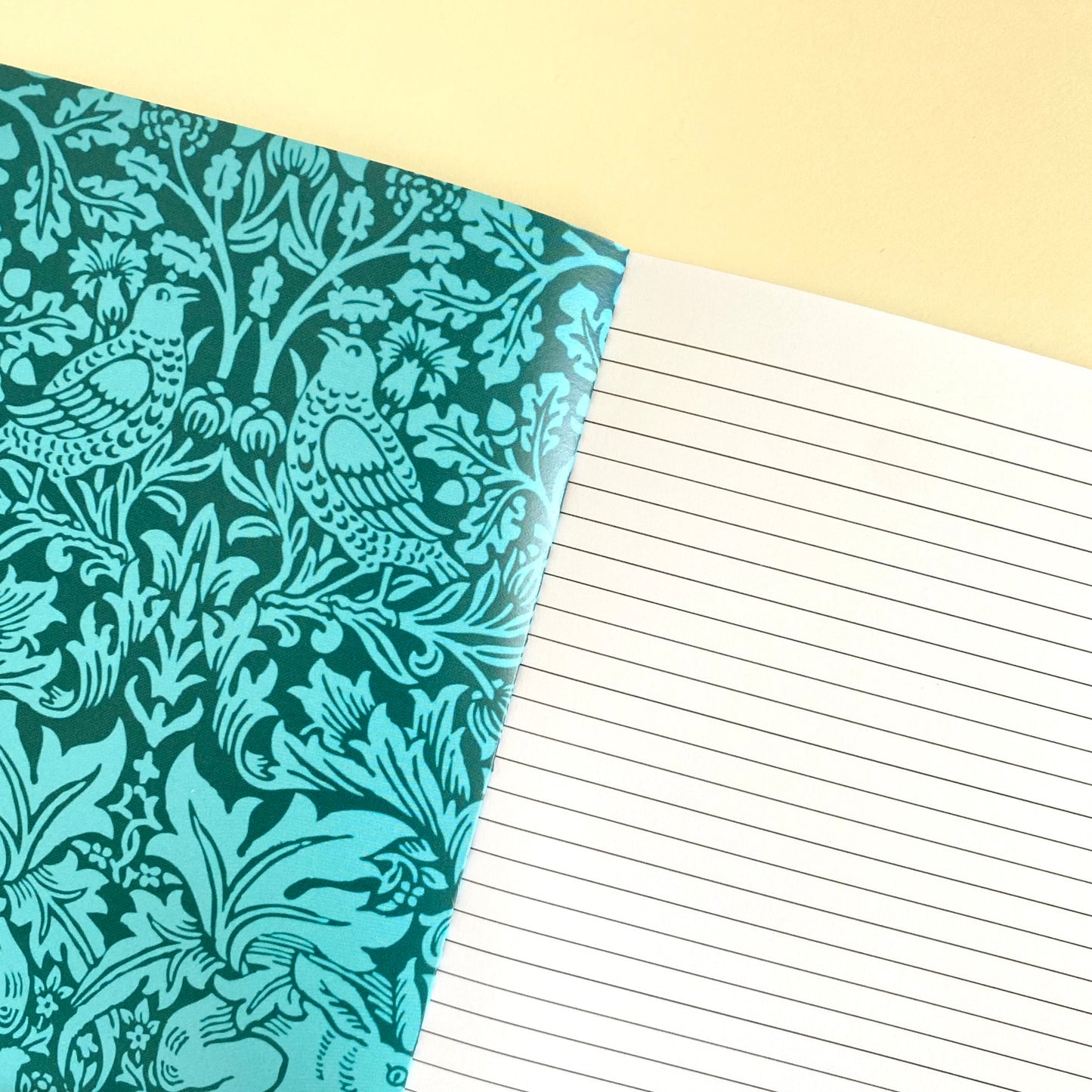 COSMIC SEED: LIMITLESS NOTEBOOK