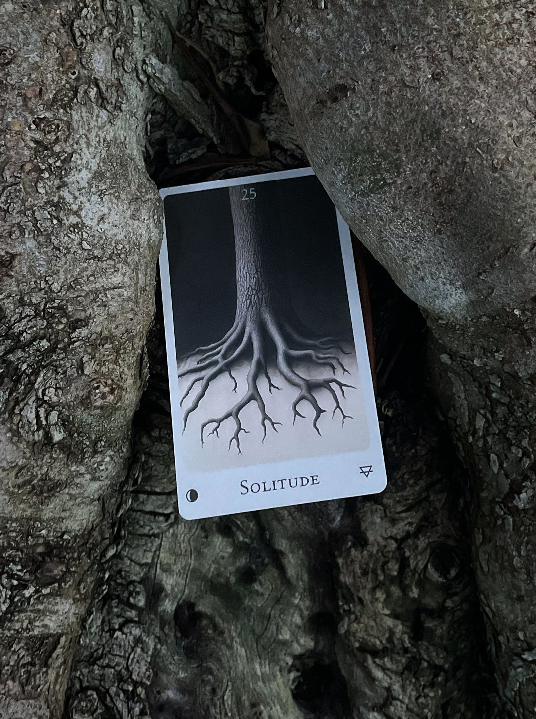 Echoes of the Wood Oracle by Una in Space