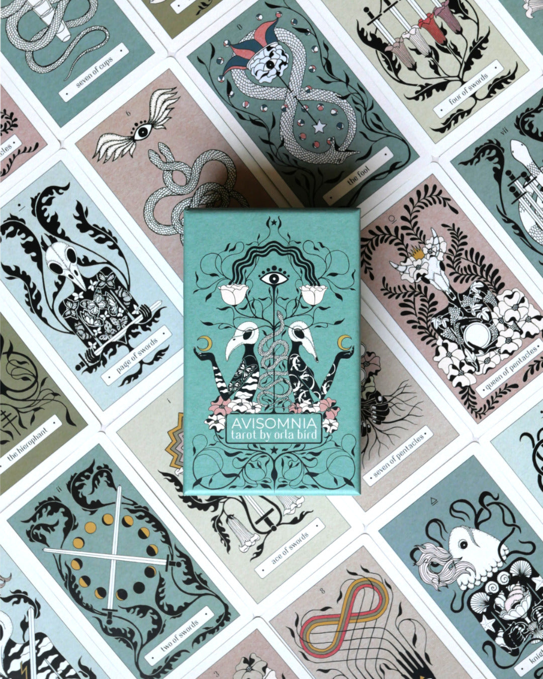 AVISOMNIA TAROT ORLA BIRD