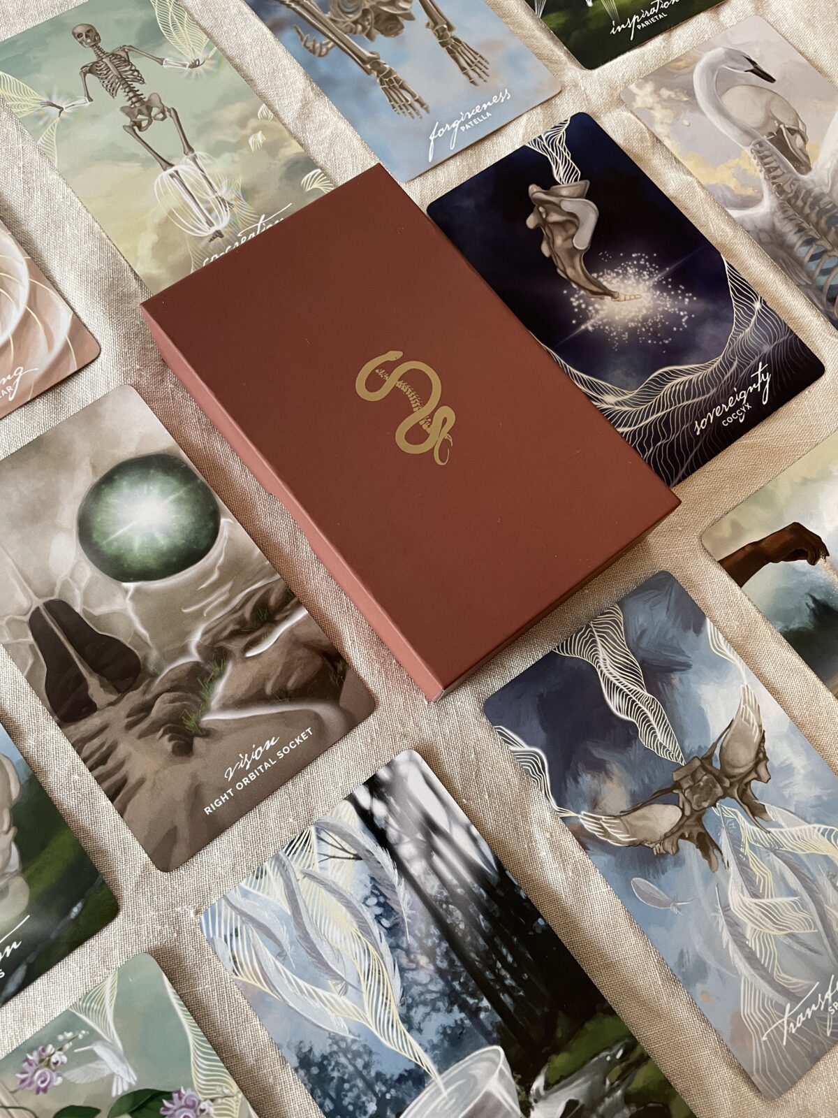Bone Codes Oracle + Guidebook by Ash Stinson