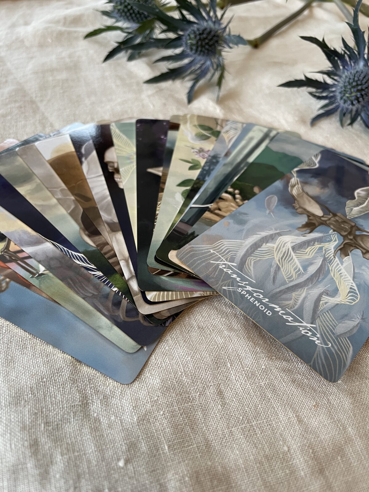 Bone Codes Oracle + Guidebook by Ash Stinson