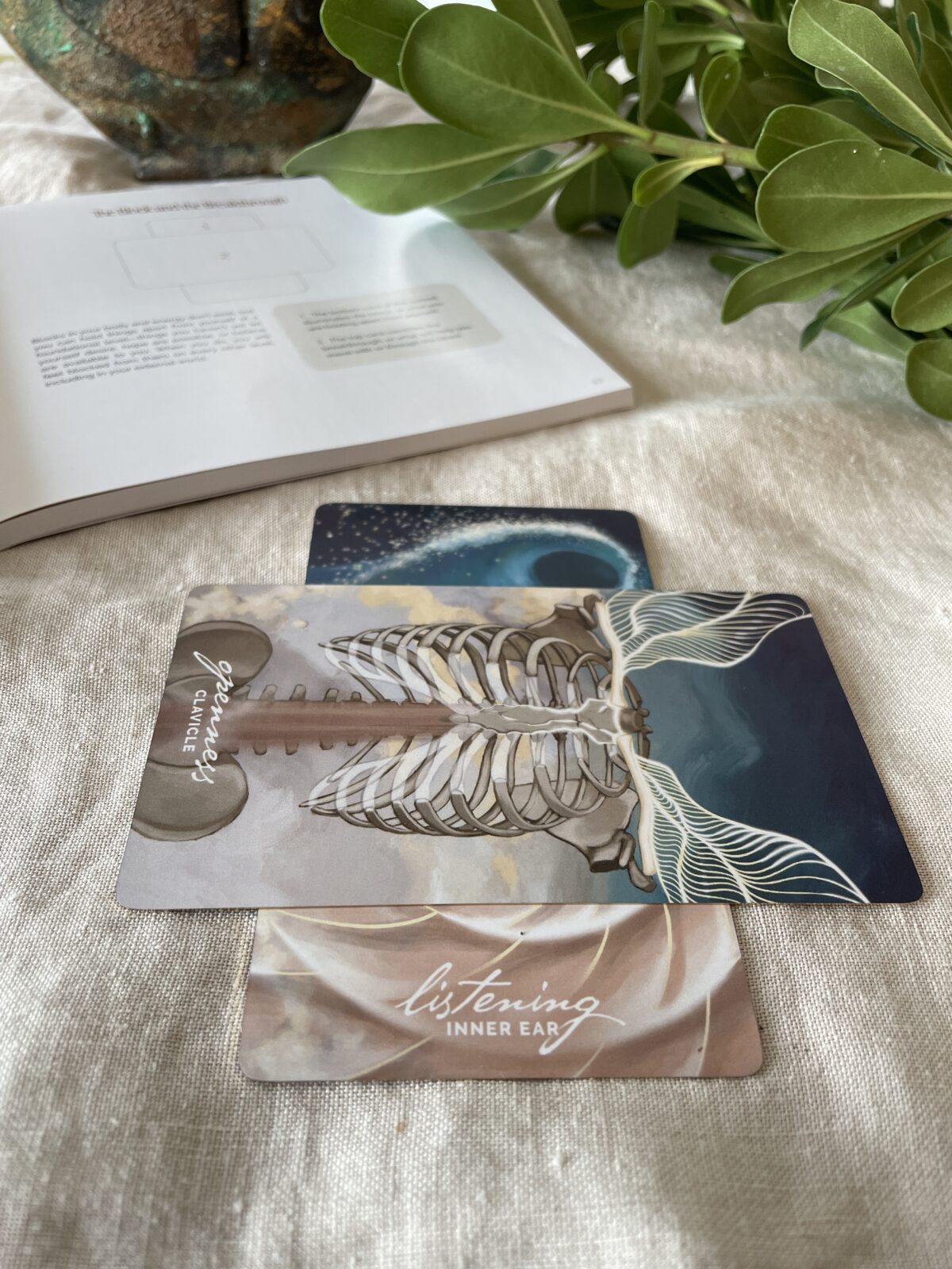 Bone Codes Oracle + Guidebook by Ash Stinson