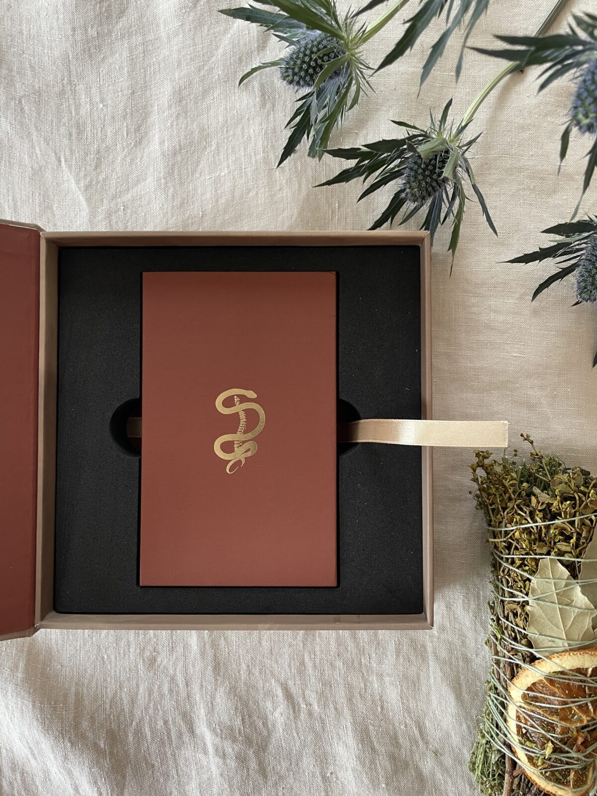 Bone Codes Oracle + Guidebook by Ash Stinson