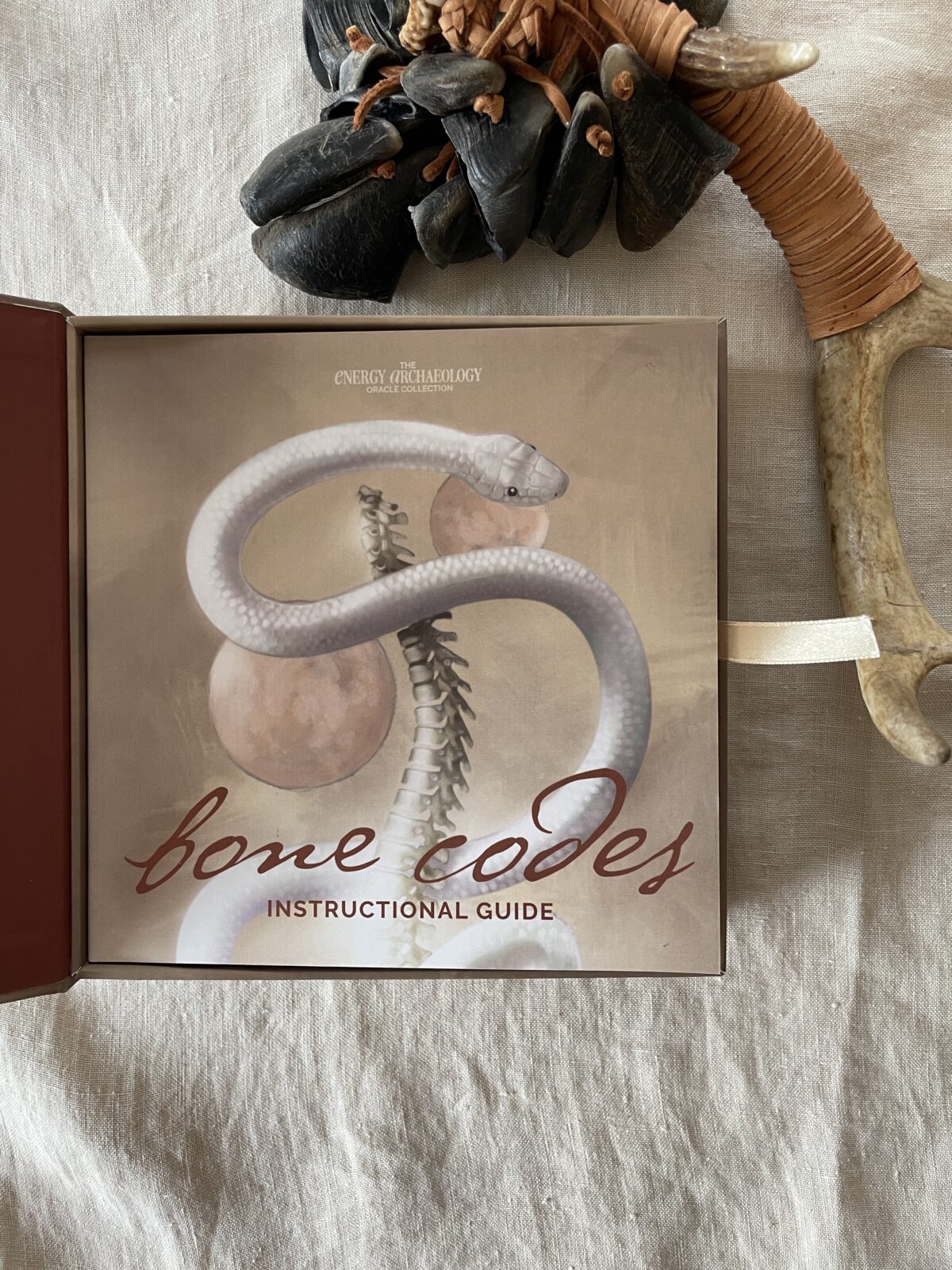 Bone Codes Oracle + Guidebook by Ash Stinson