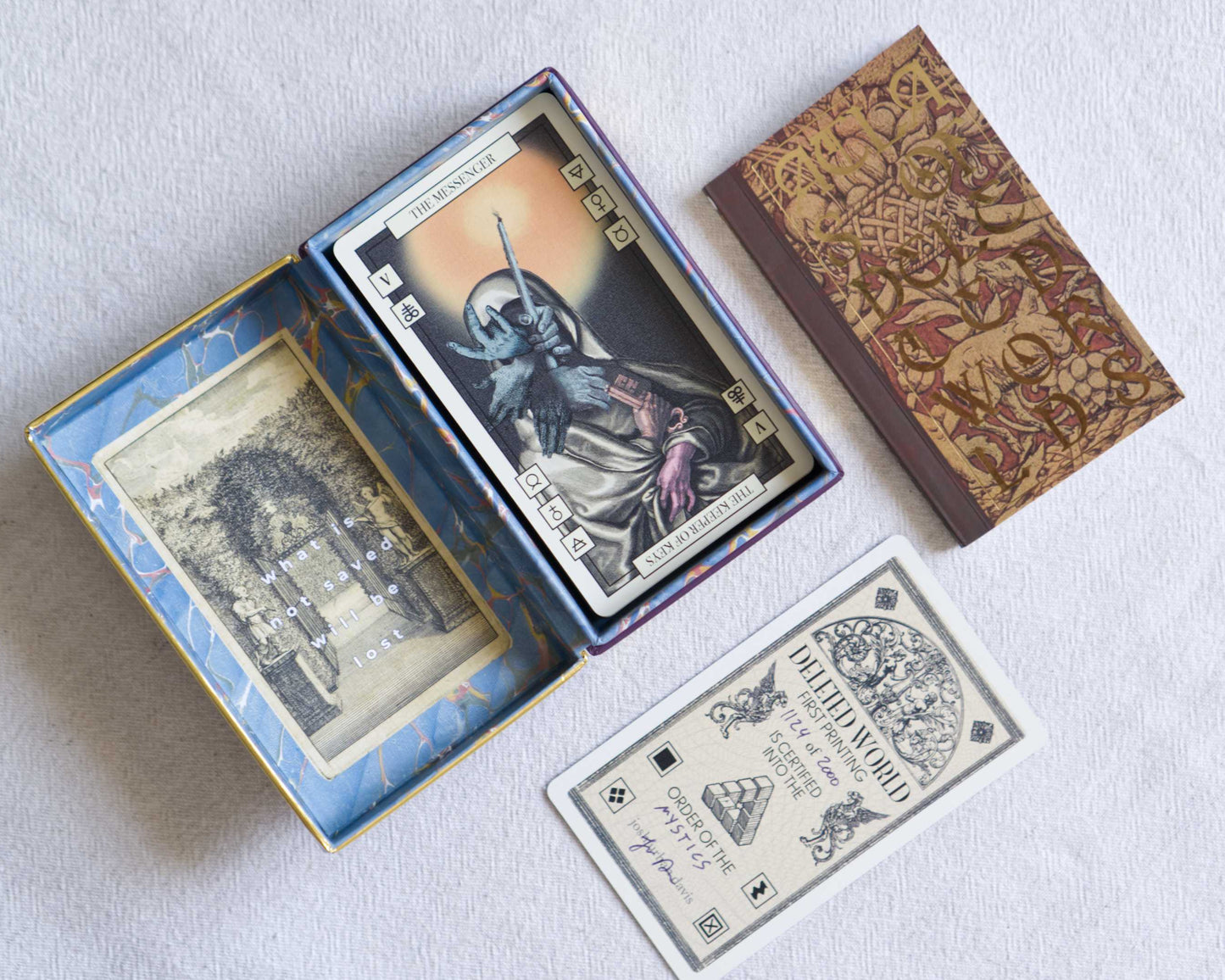 THE DELETED WORLD TAROT