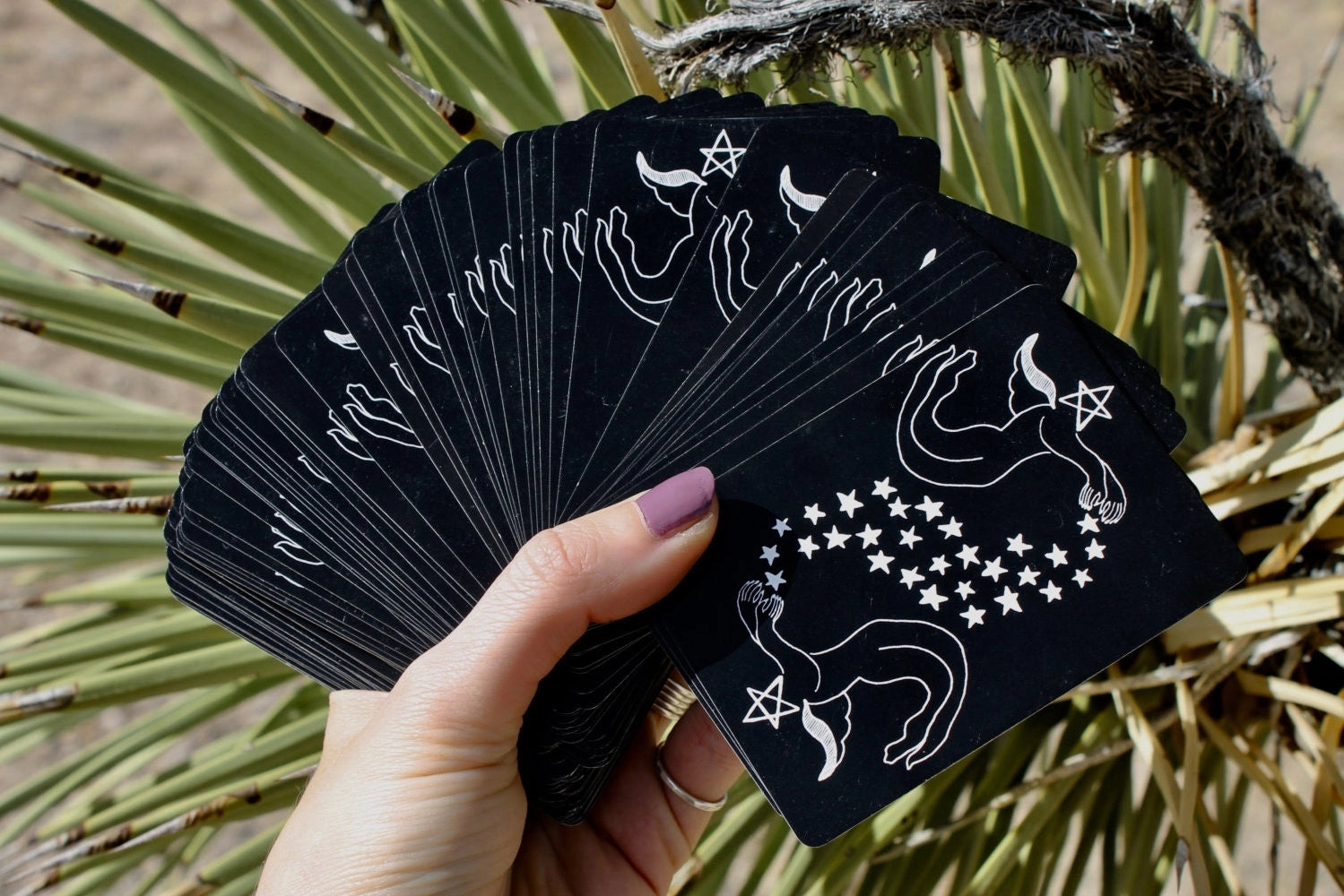 Divina Tarot