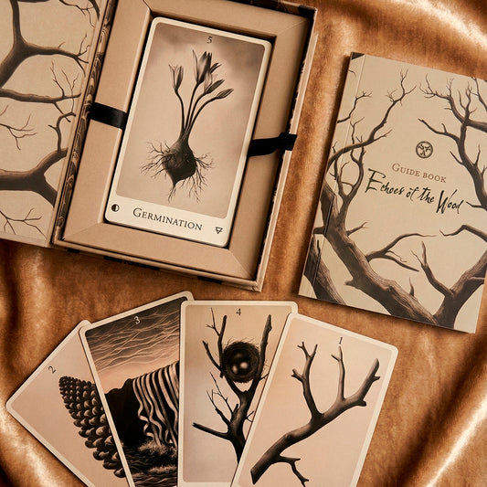 Echoes of the Wood Oracle by Una in Space