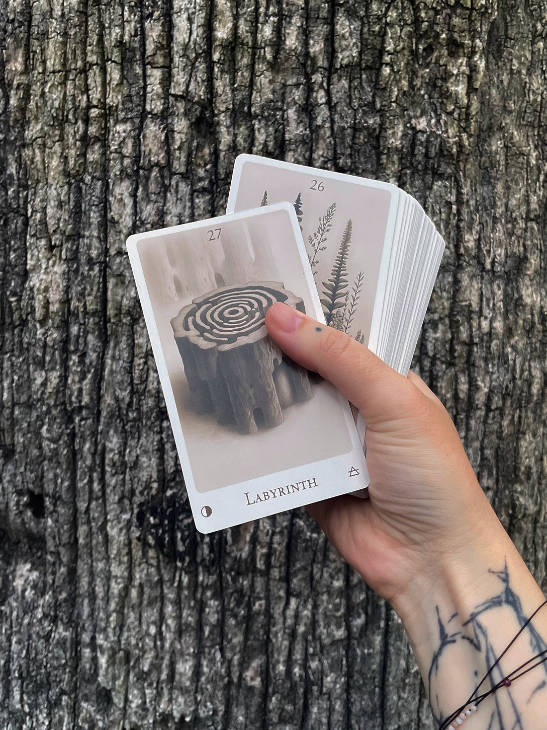 Echoes of the Wood Oracle by Una in Space
