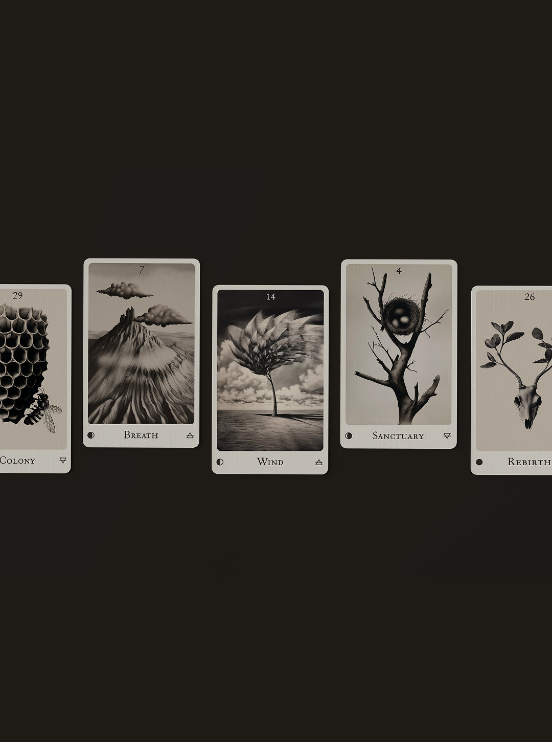 Echoes of the Wood Oracle by Una in Space
