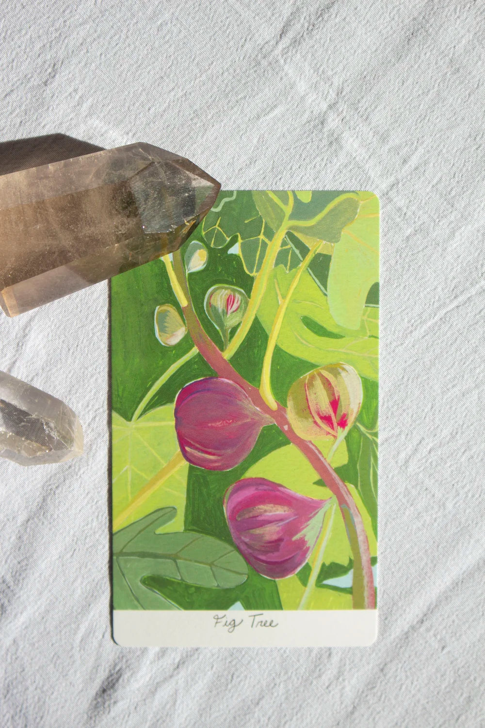 Field of Stars Oracle