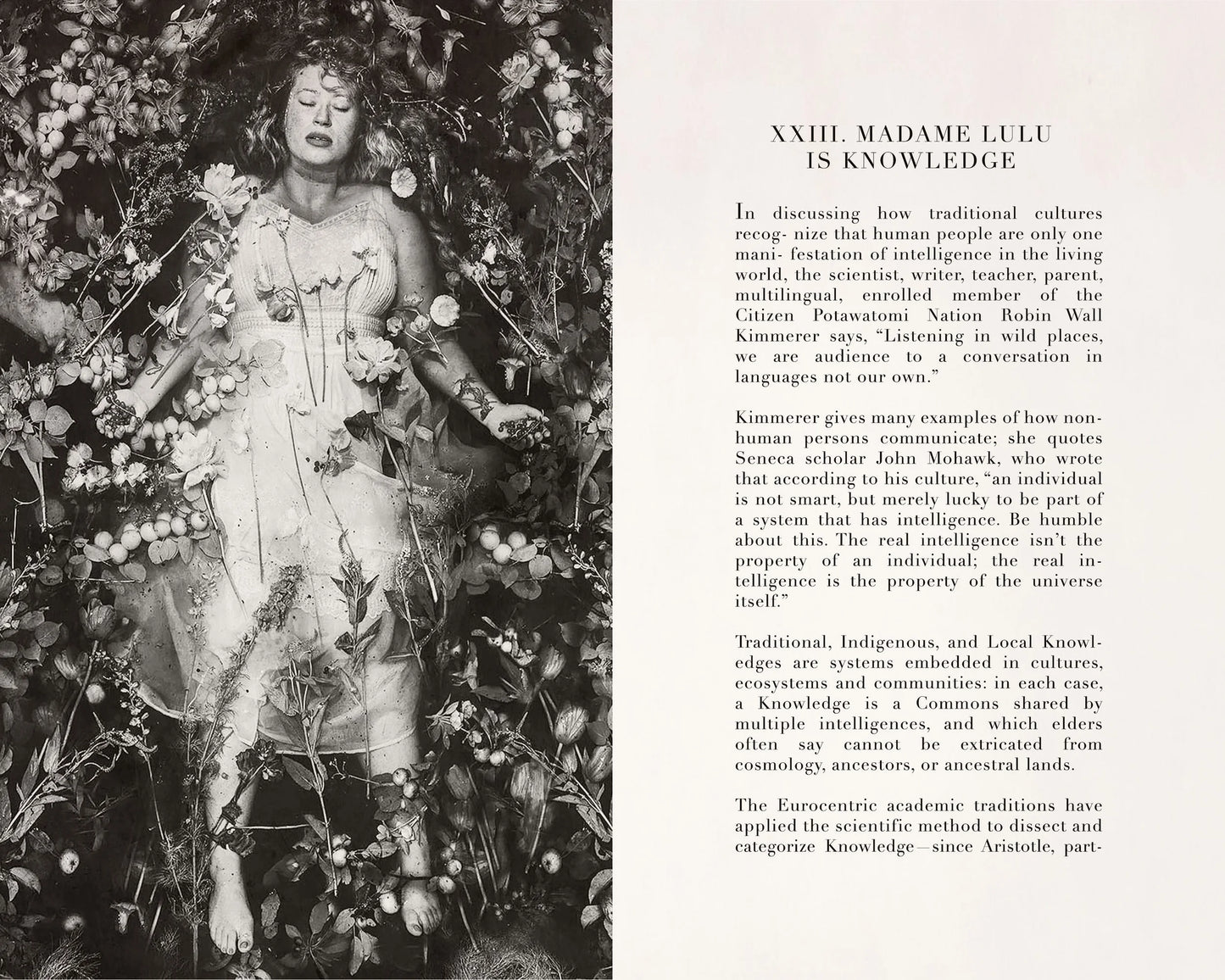 LE TAROT DU MONDE PERDU: A GUIDE TO THE DROWNING WORLD TAROT