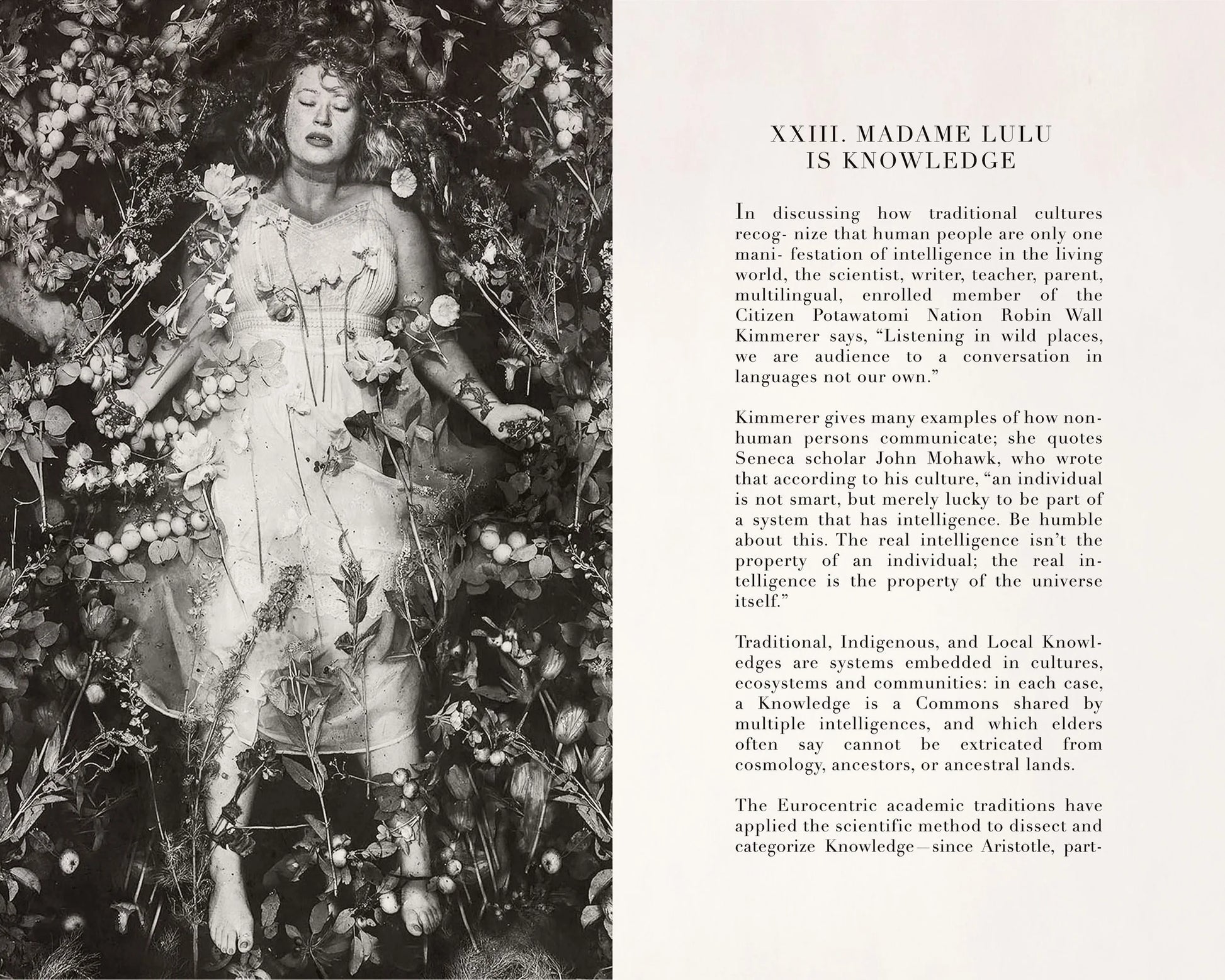 LE TAROT DU MONDE PERDU: A GUIDE TO THE DROWNING WORLD TAROT