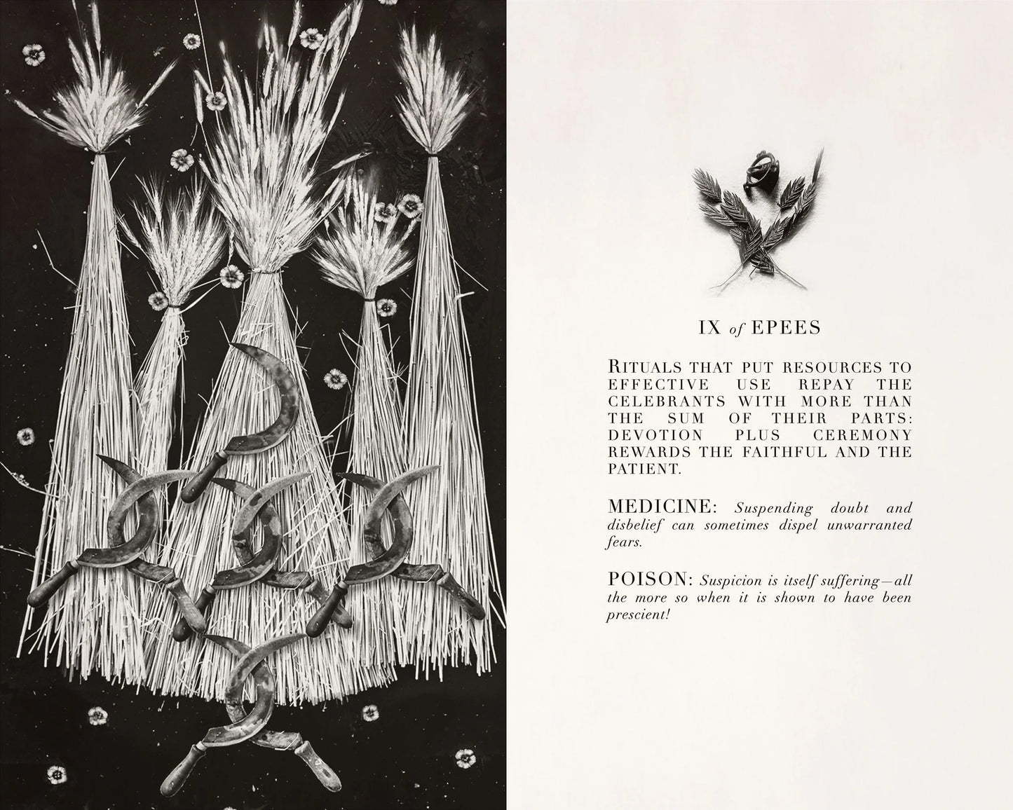 THE DROWNING WORLD TAROT + libro guía "Le Tarot du Monde Perdu"