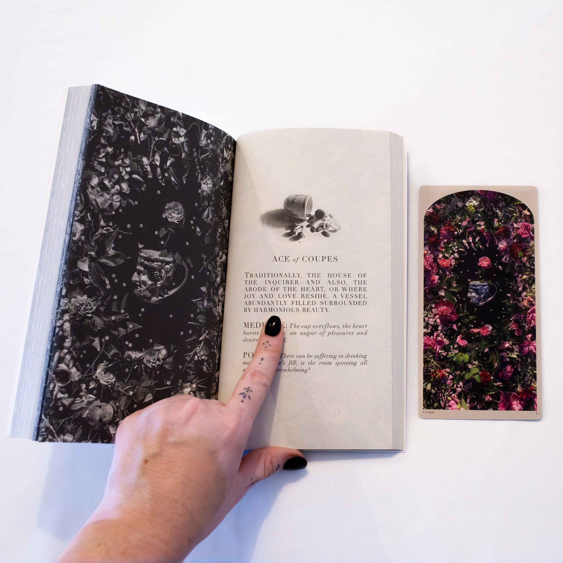 LE TAROT DU MONDE PERDU: A GUIDE TO THE DROWNING WORLD TAROT