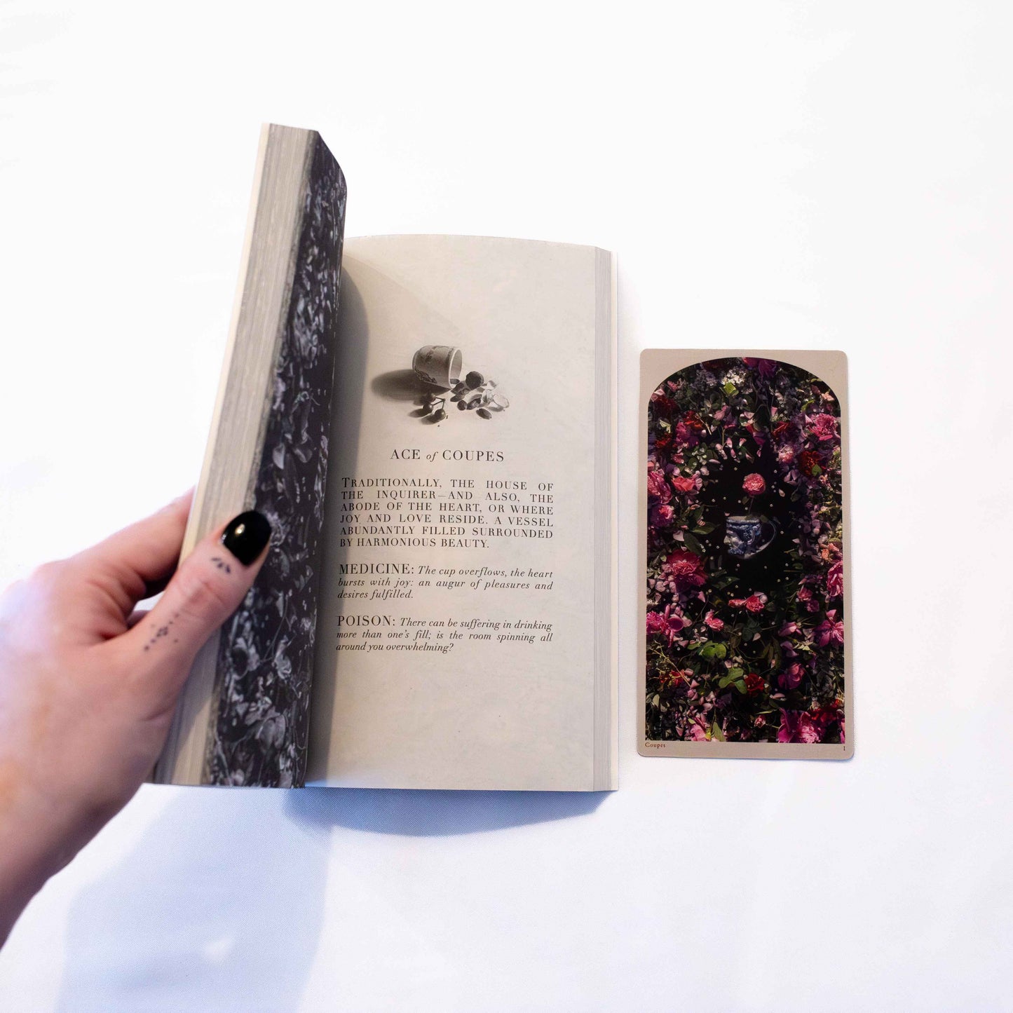 LE TAROT DU MONDE PERDU: A GUIDE TO THE DROWNING WORLD TAROT