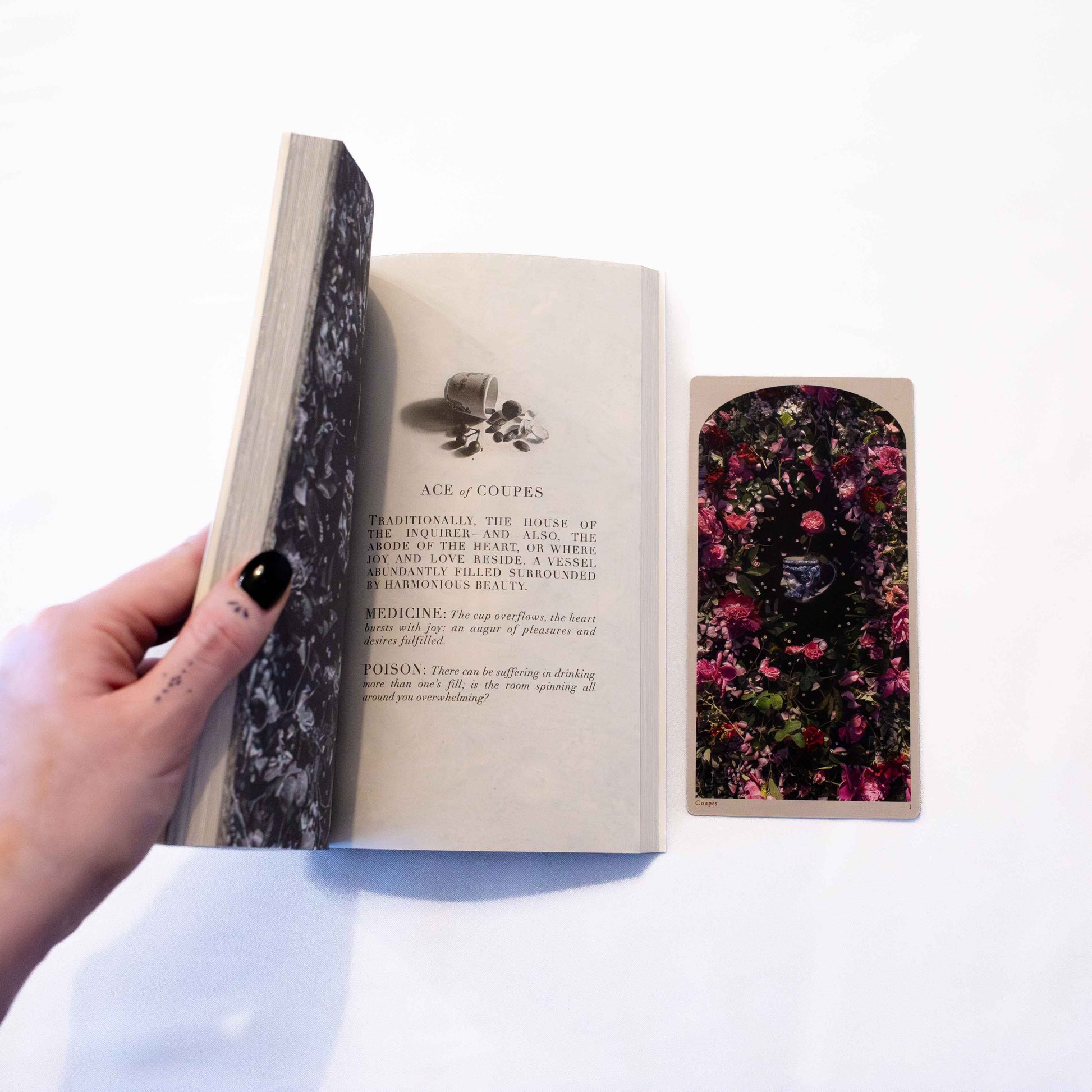 LE TAROT DU MONDE PERDU: A GUIDE TO THE DROWNING WORLD TAROT