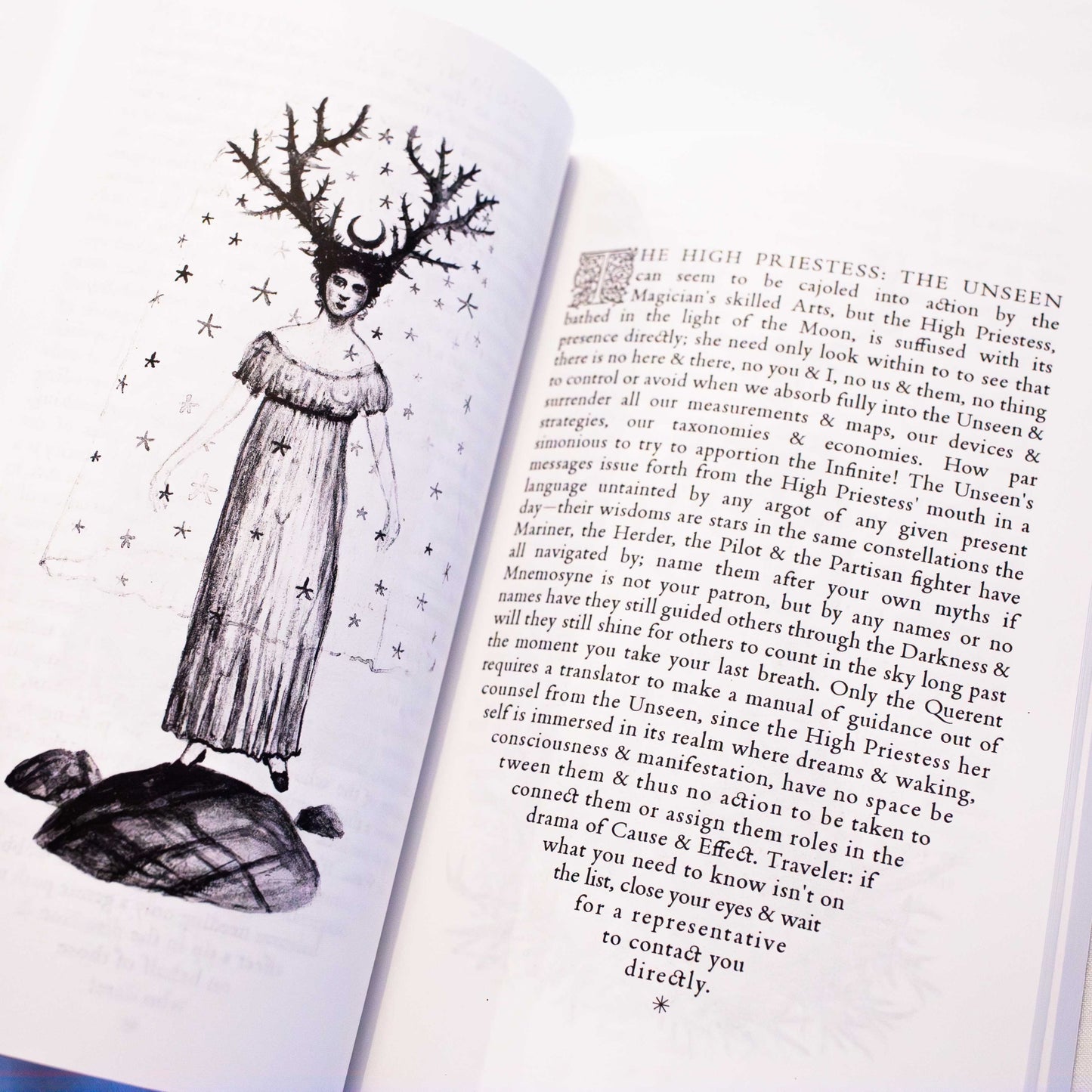 MADAM LULU'S BOOK OF FATE: A GUIDE TO THE CARNIVAL AT THE END OF THE WORLD TAROT