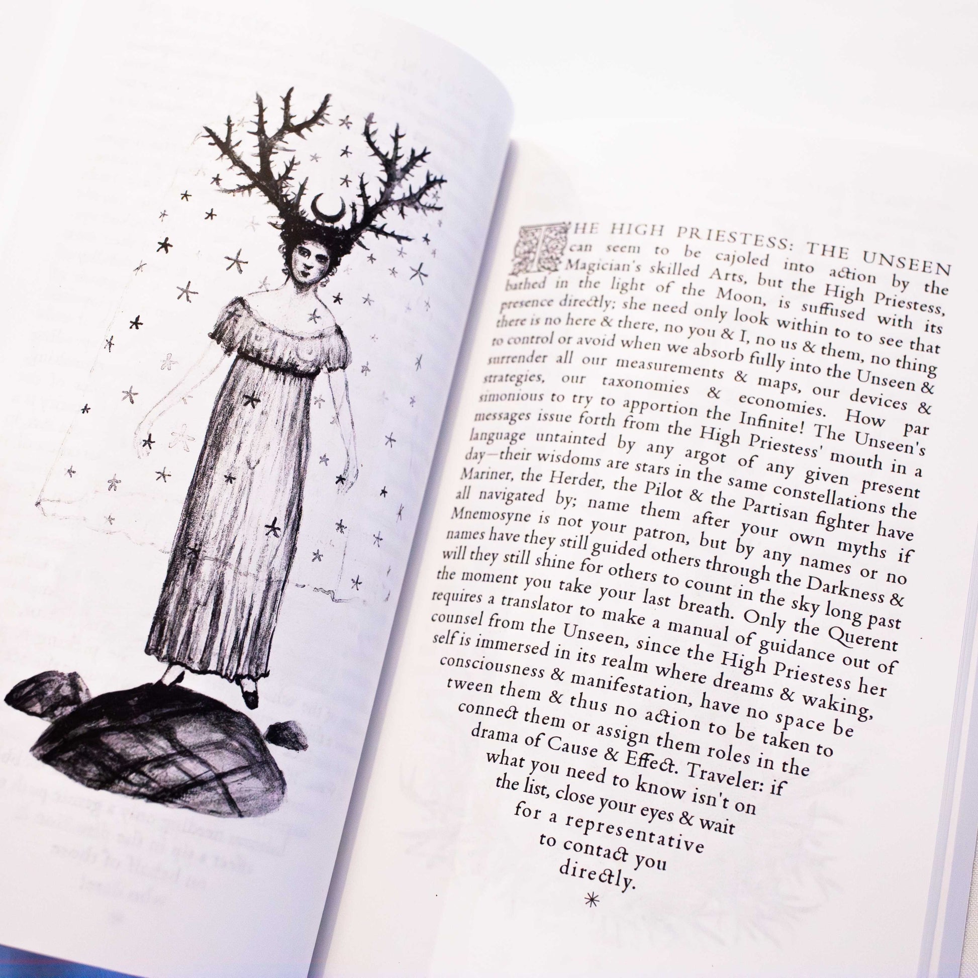 MADAM LULU'S BOOK OF FATE: A GUIDE TO THE CARNIVAL AT THE END OF THE WORLD TAROT