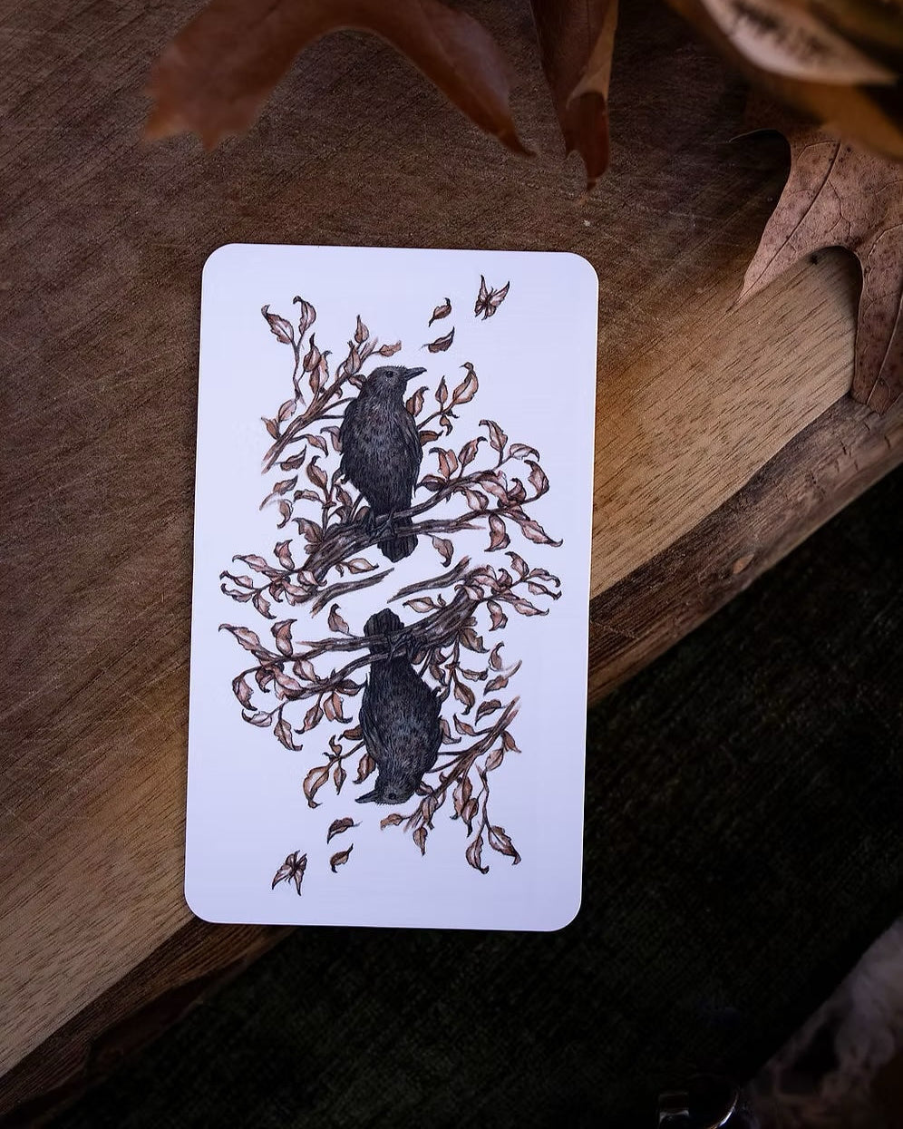 Oak, Ash & Thorn