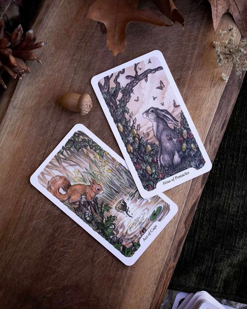 Oak, Ash & Thorn