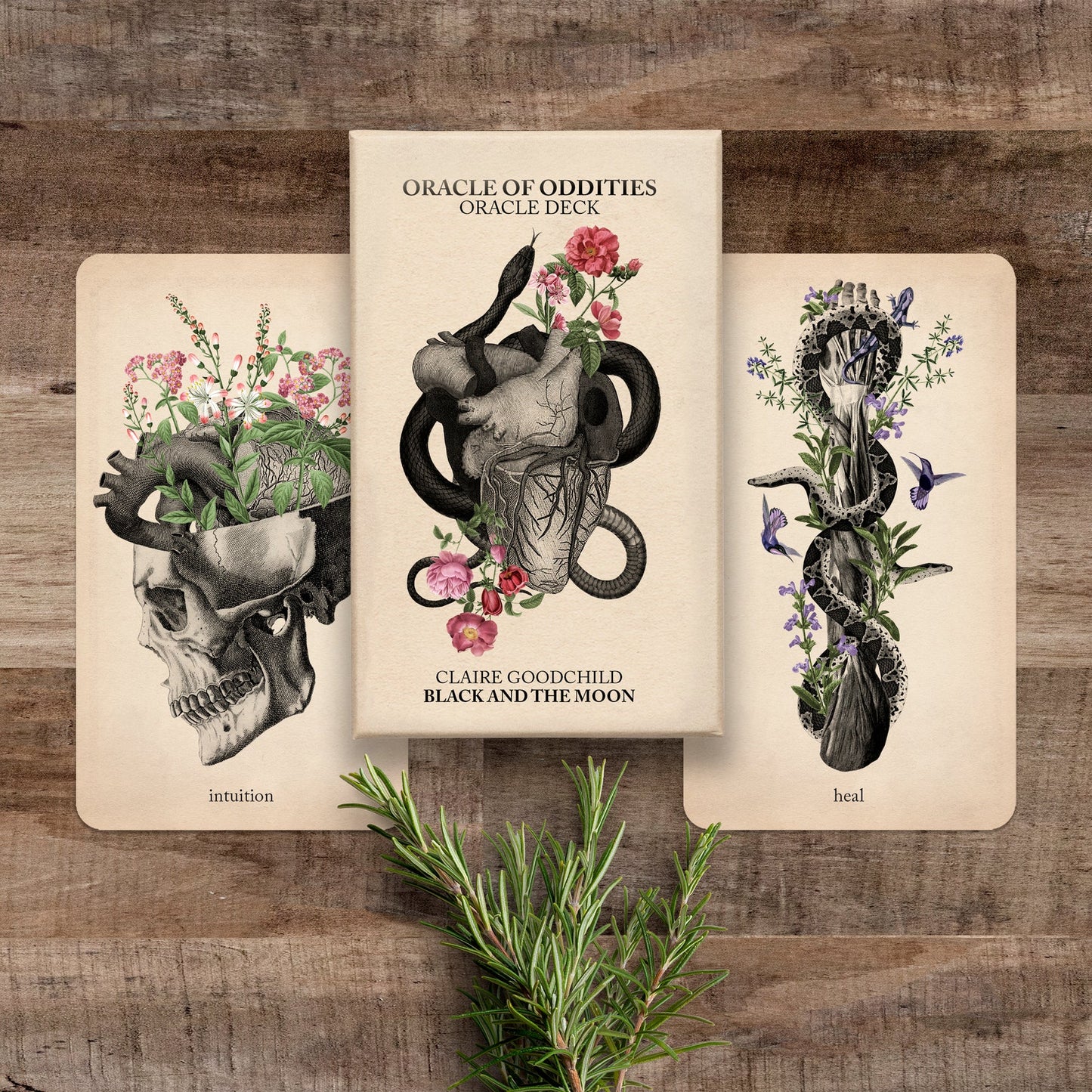 Oracle of Oddities by Black and the Moon