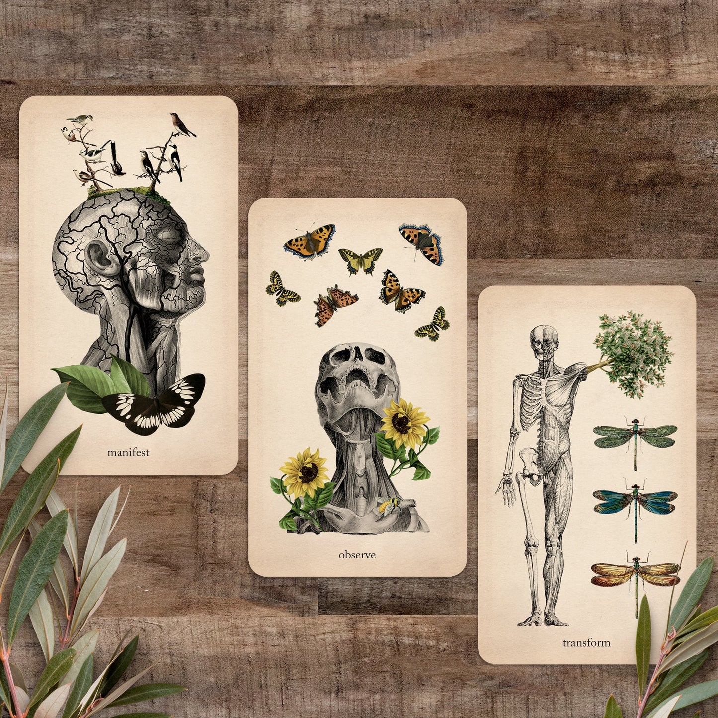Oracle of Oddities by Black and the Moon