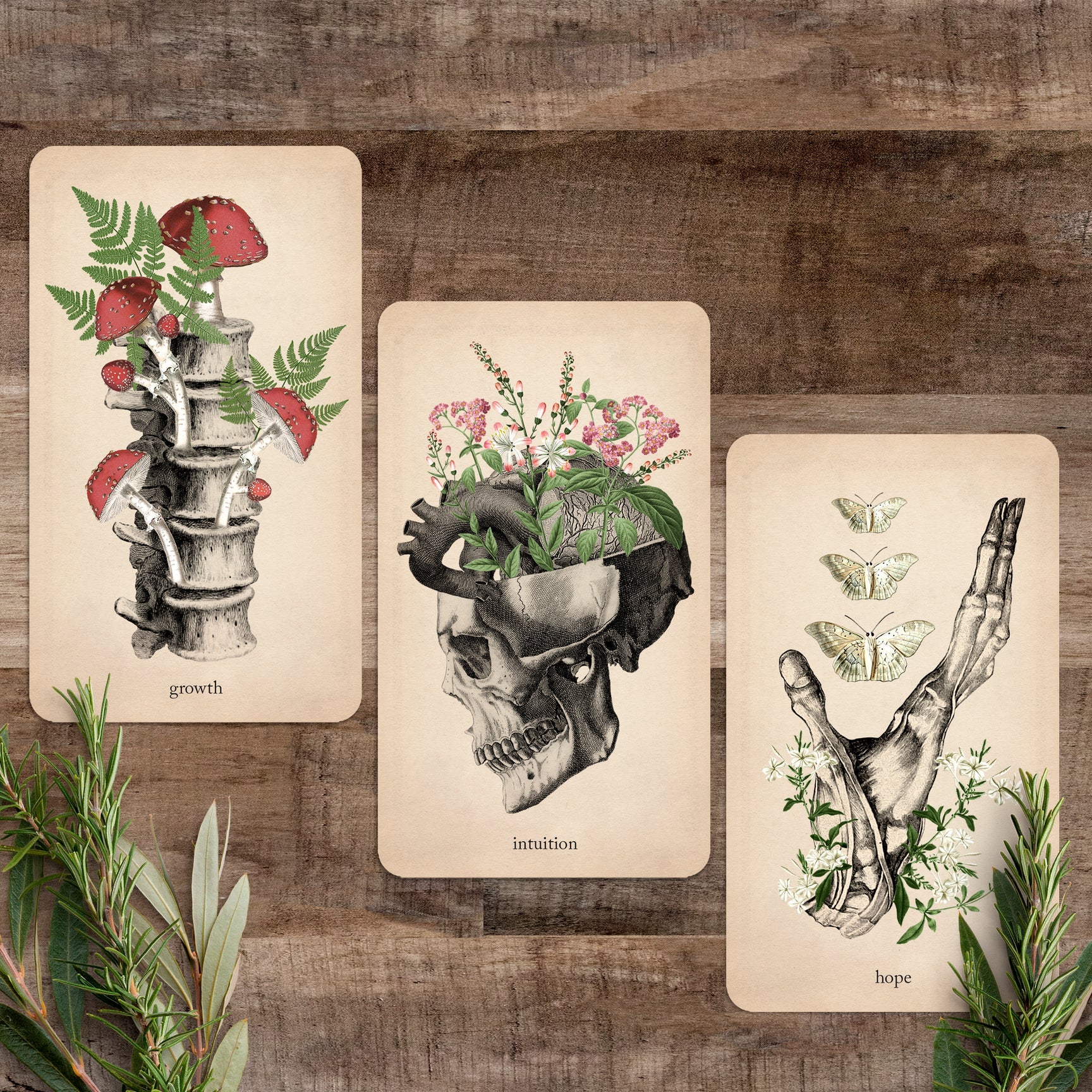 Oracle of Oddities by Black and the Moon