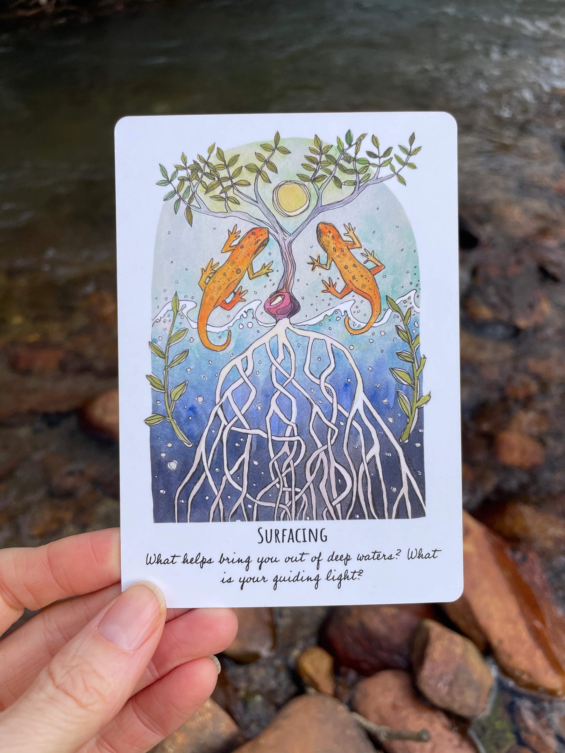 PHASES AND FORESTS ORACLE