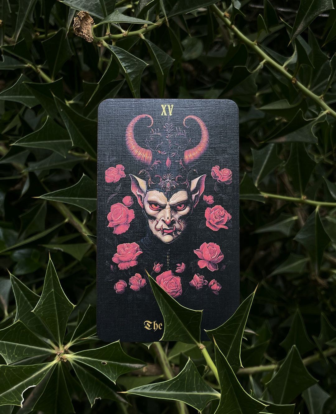 Secret Garden Tarot by Una in Space