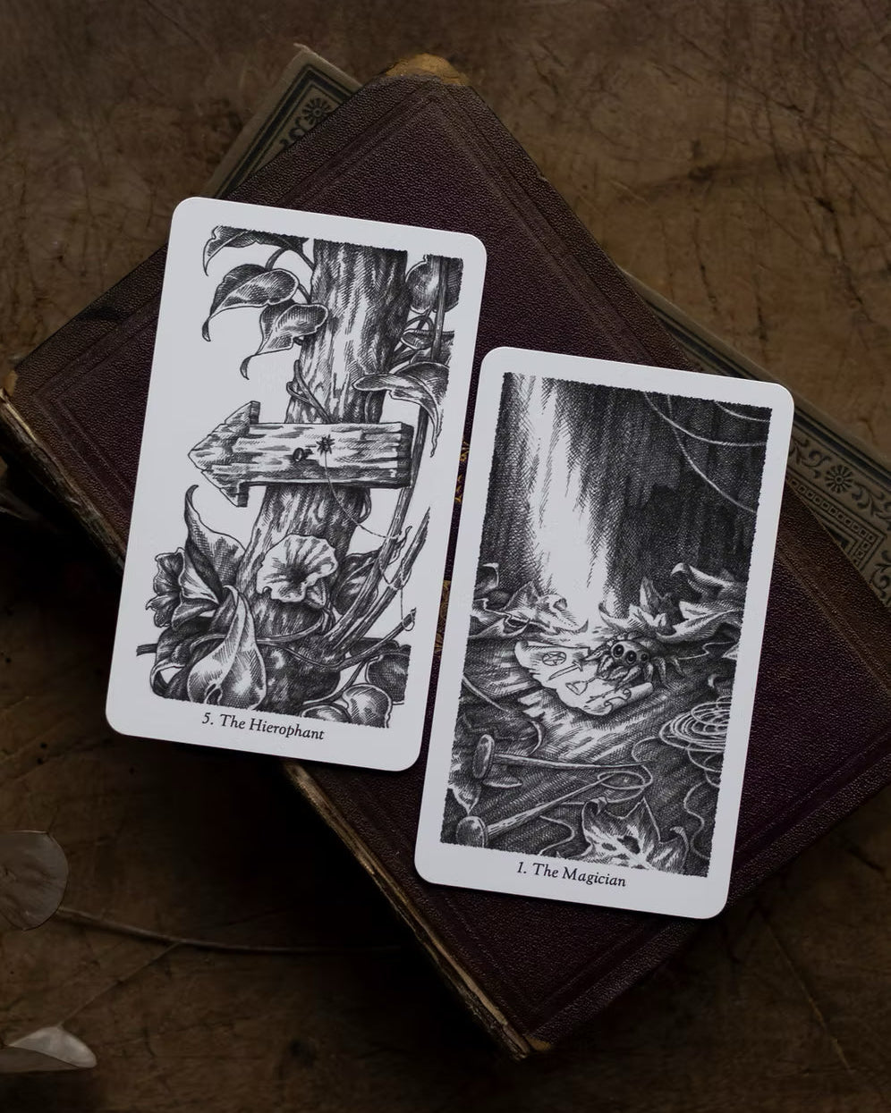 The Winding Tarot by Three Trees Tarot