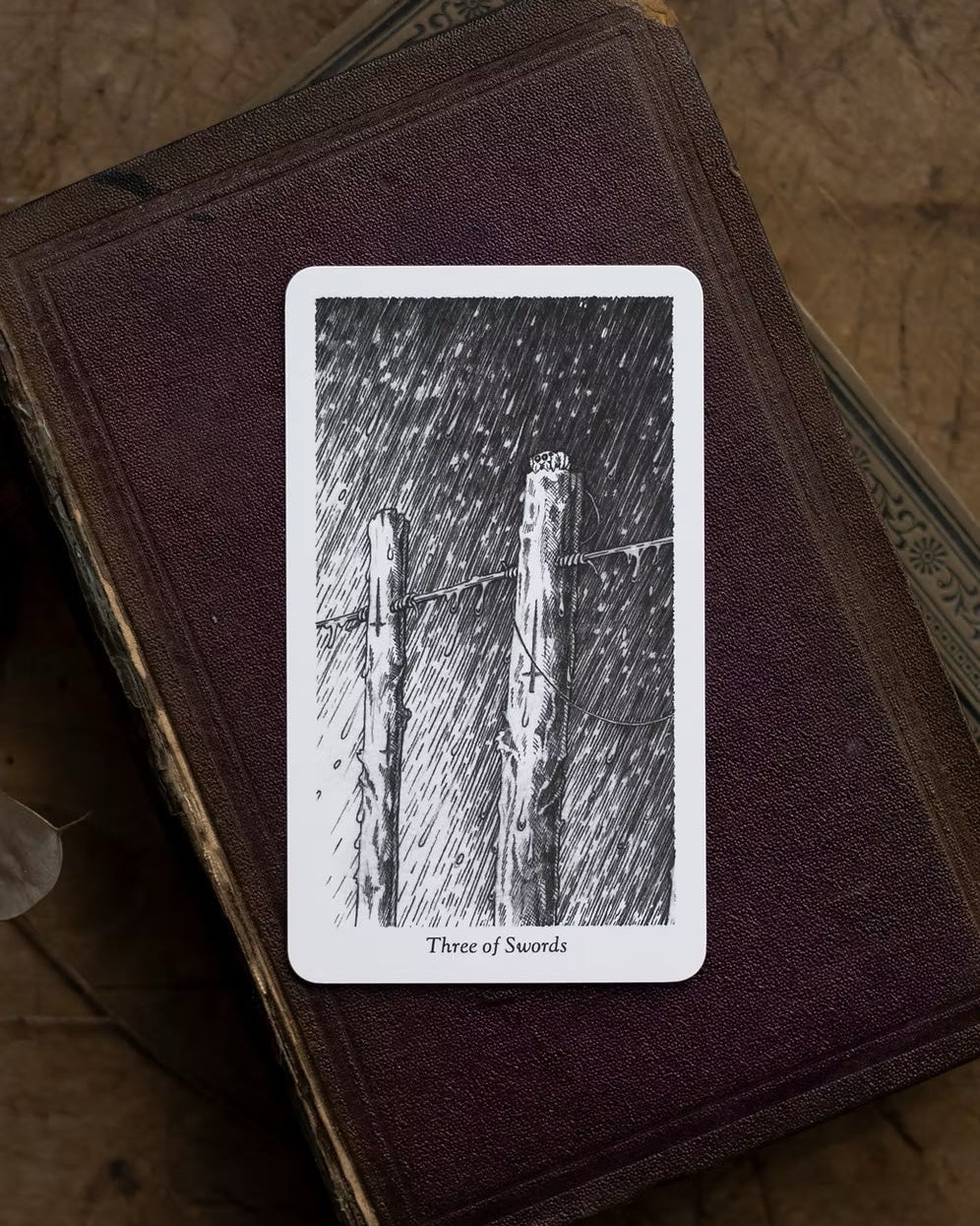 The Winding Tarot by Three Trees Tarot