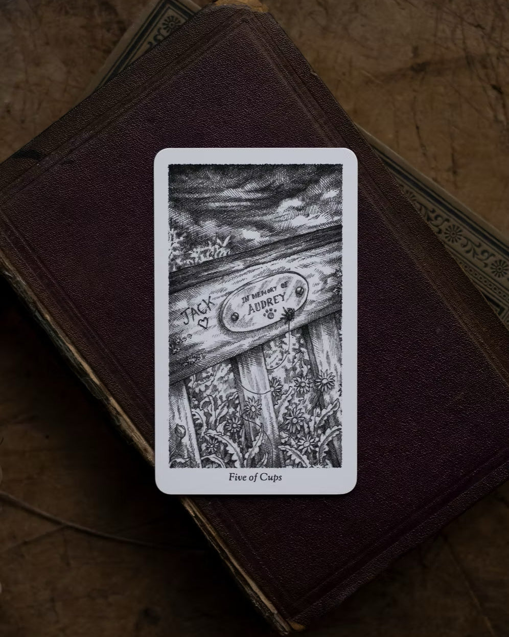 The Winding Tarot by Three Trees Tarot