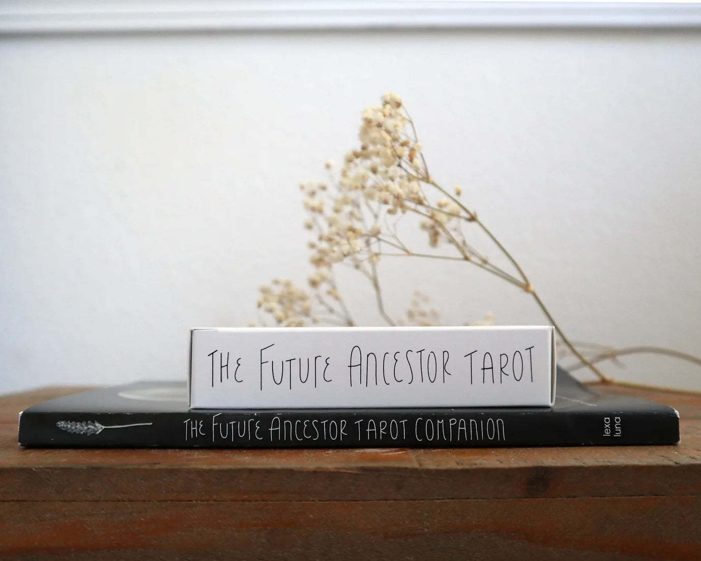 The Future Ancestor Tarot + Companion