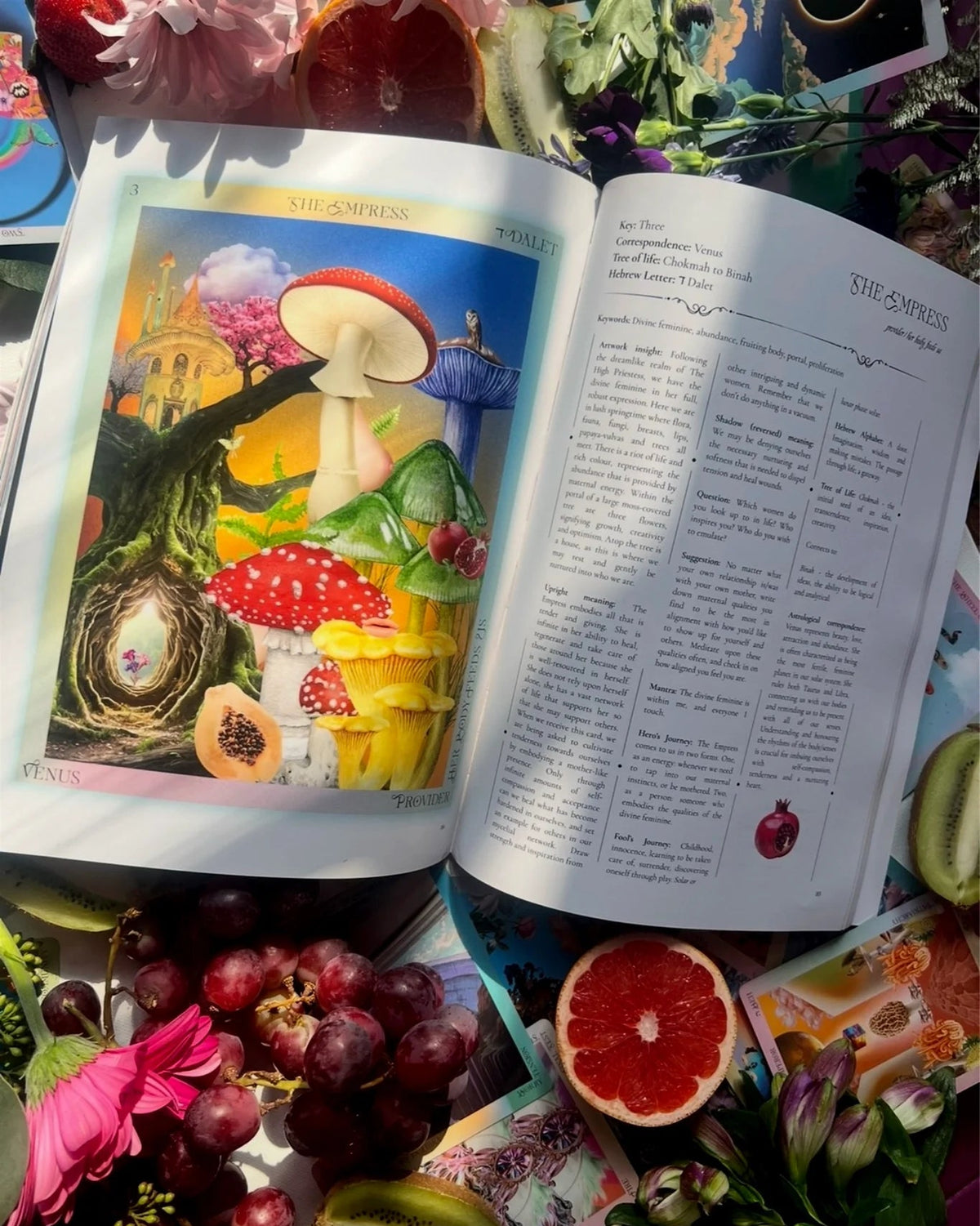 The Fertile Void Tarot & Illuminated Magazine by Devany Amber Wolfe
