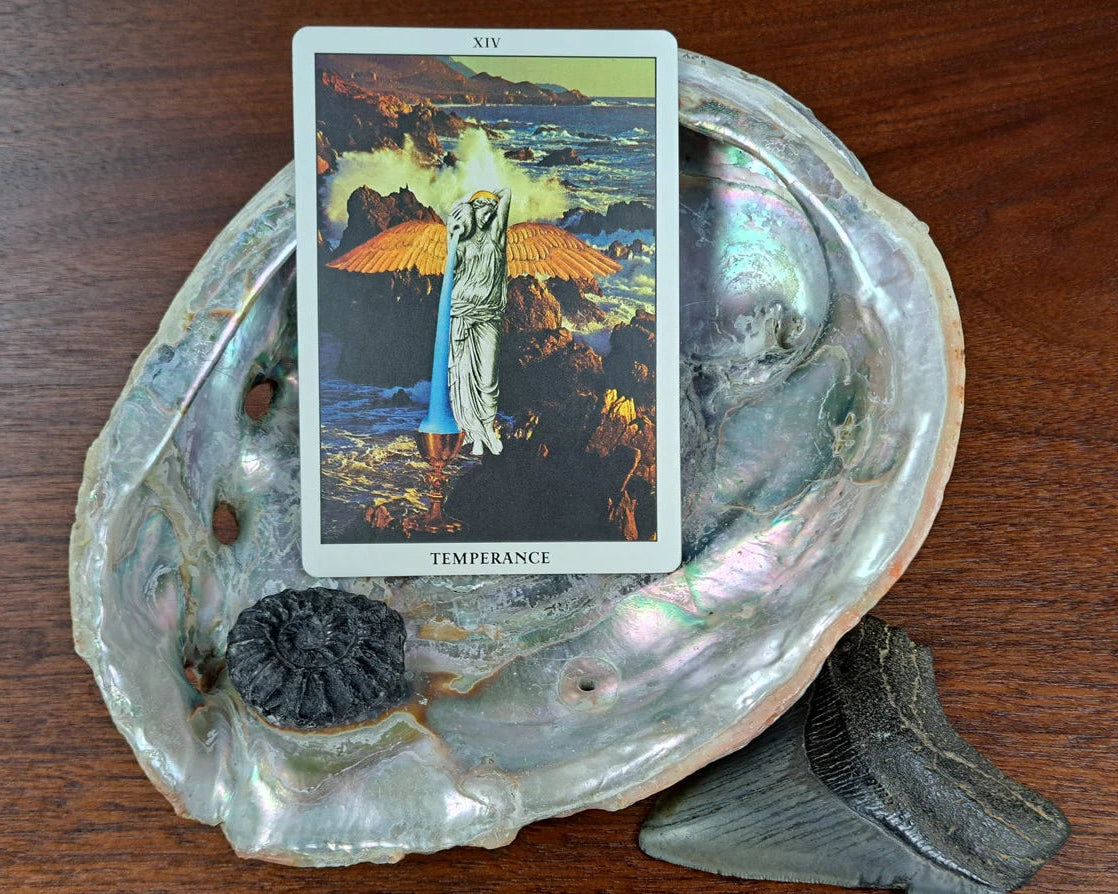 The Scarab & Dahlia Tarot by Coastal Ghost