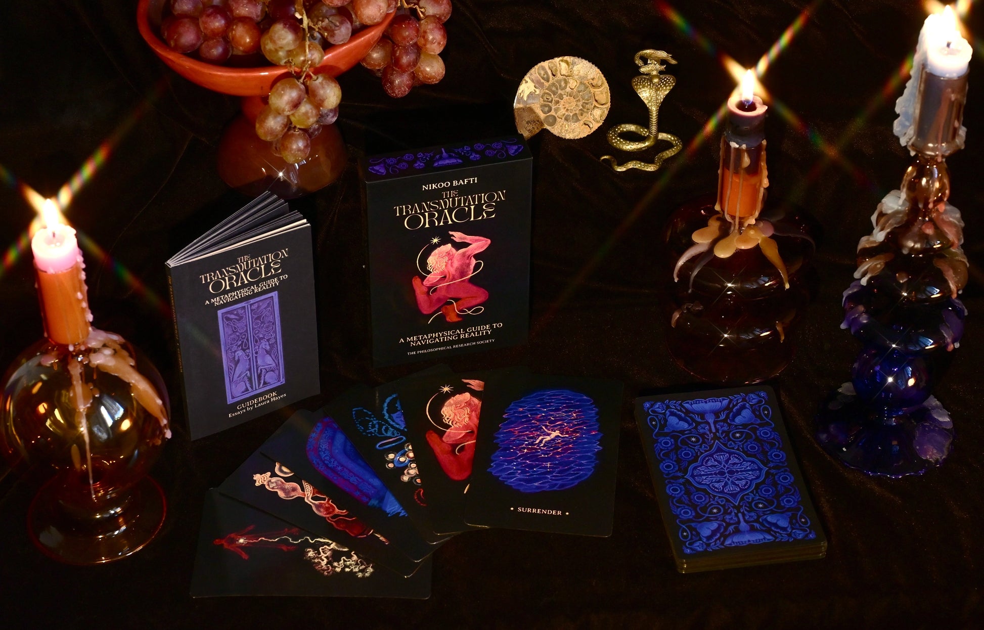 The Transmutation Oracle by Nikoo Bafti