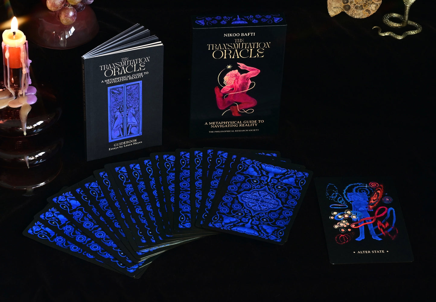 The Transmutation Oracle by Nikoo Bafti