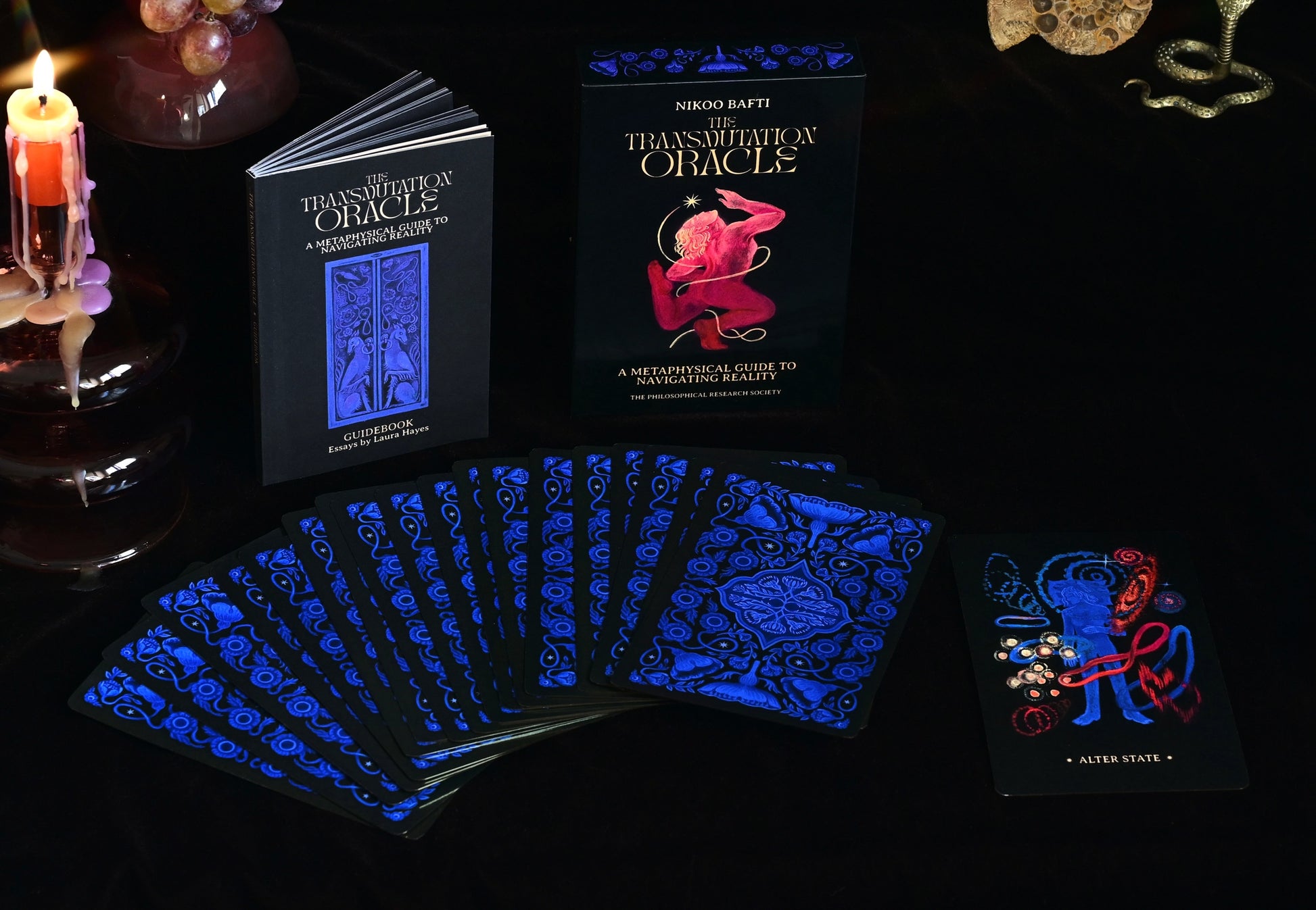 The Transmutation Oracle by Nikoo Bafti