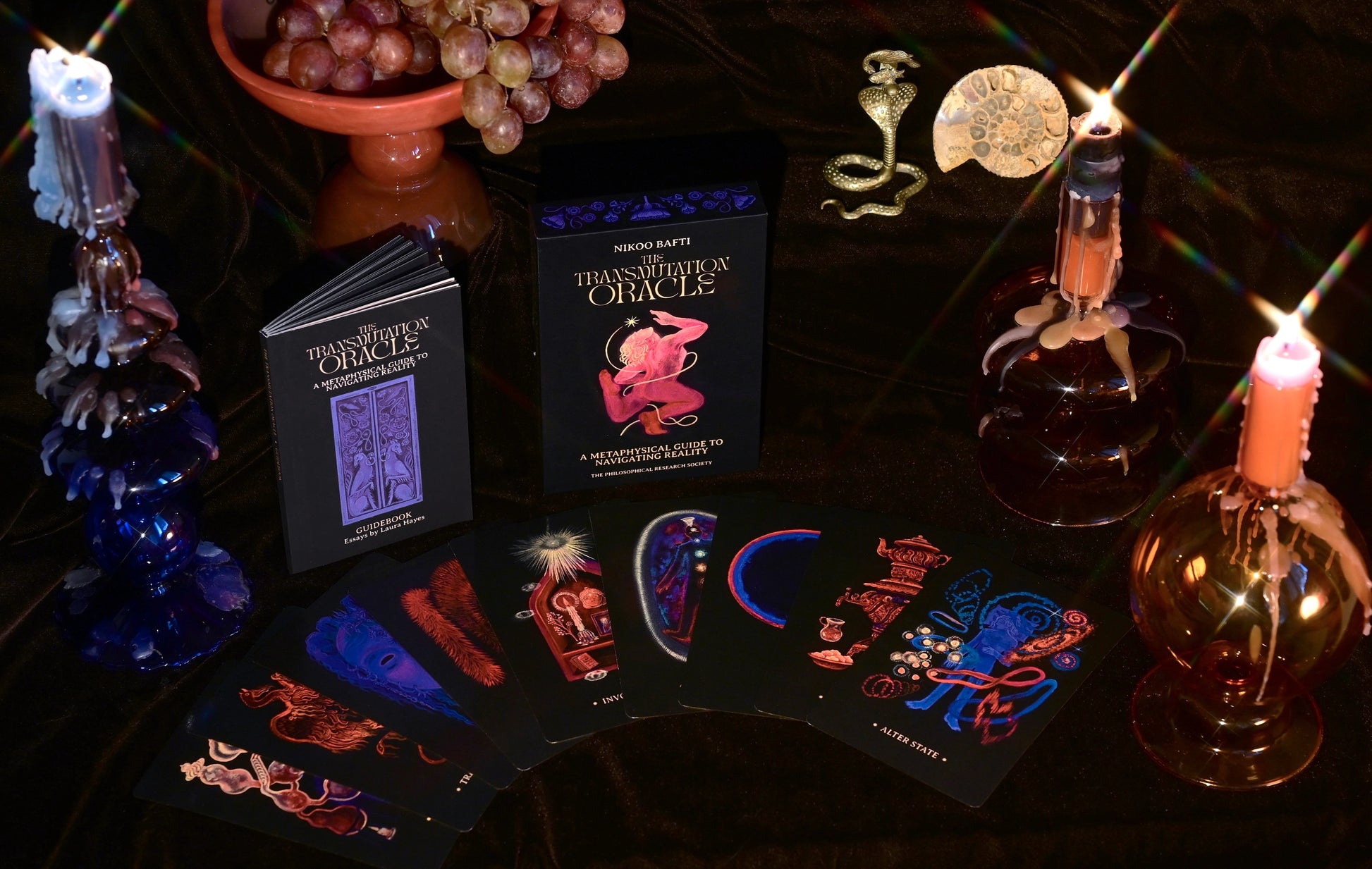 The Transmutation Oracle by Nikoo Bafti