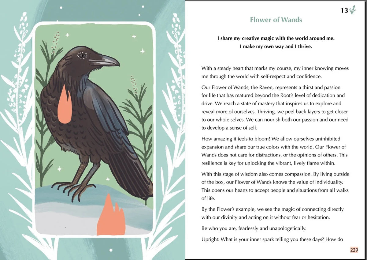 The Gentle Tarot Guidebook by Mari in the Sky