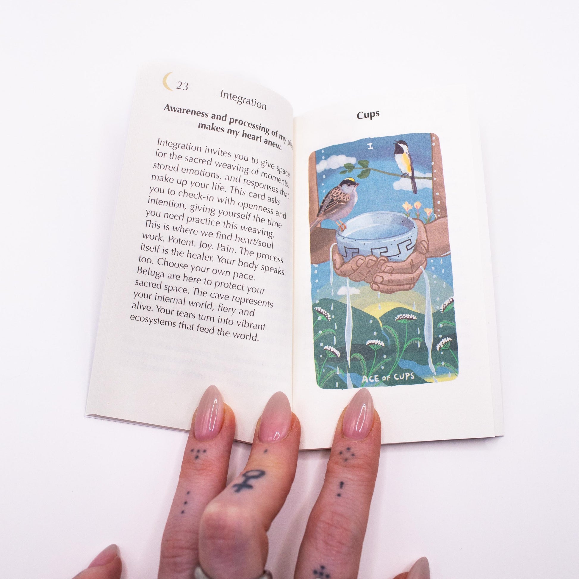 The Gentle Tarot Seed Edition by Mari in the Sky