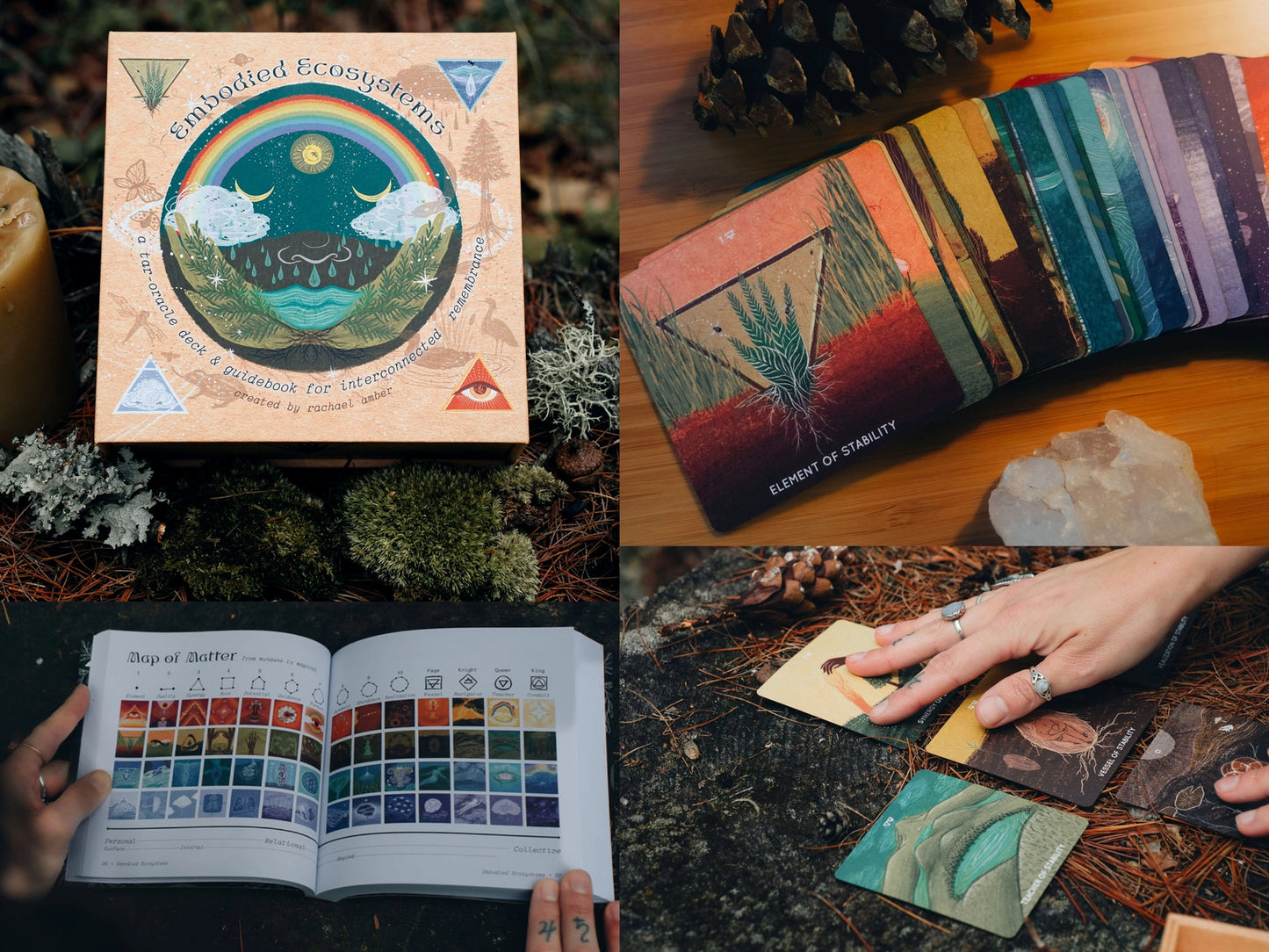 Embodied Ecosystems Tarot-Oracle Deck & Guidebook by Rachael Amber