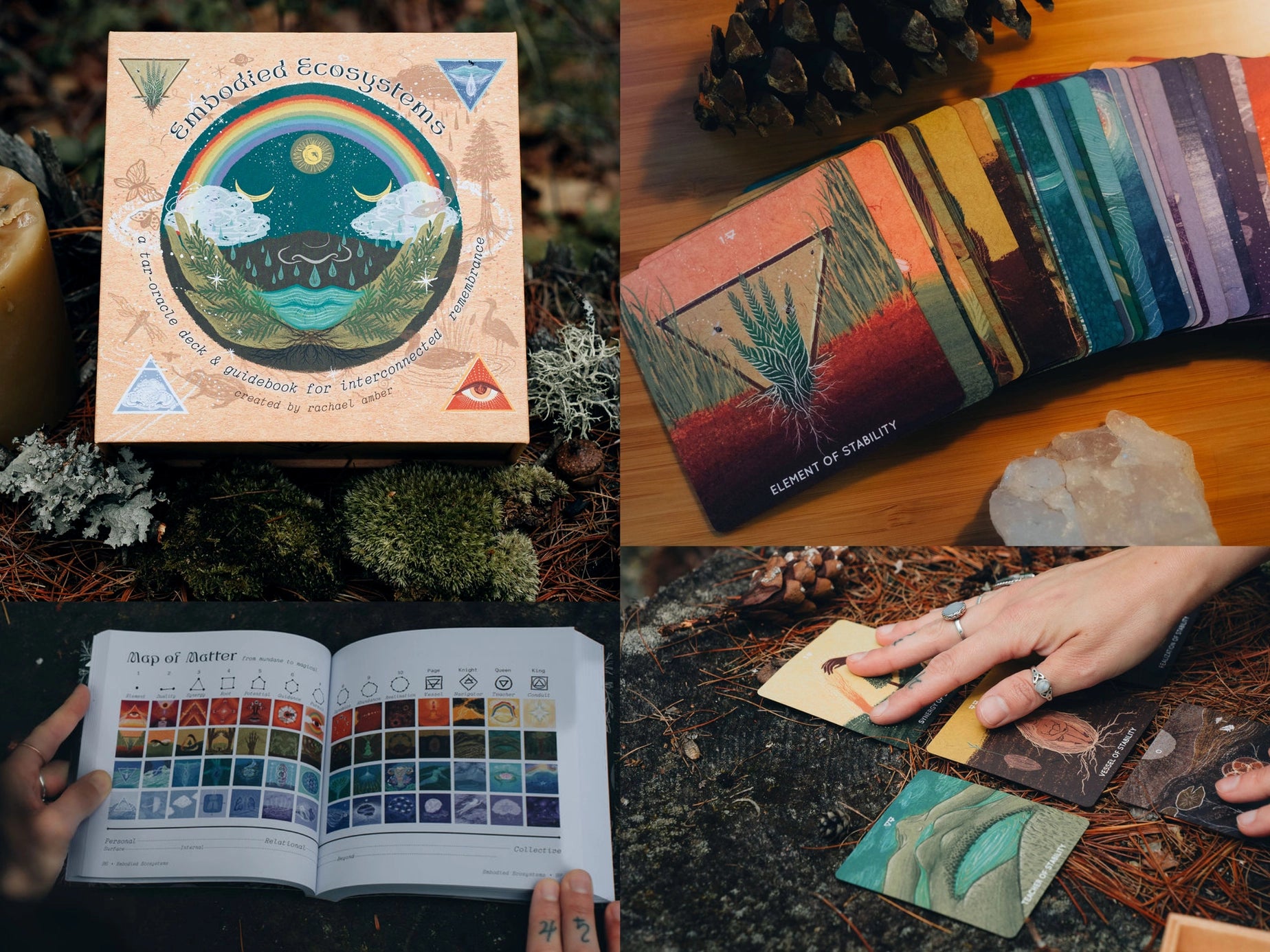 Embodied Ecosystems Tarot-Oracle Deck & Guidebook by Rachael Amber